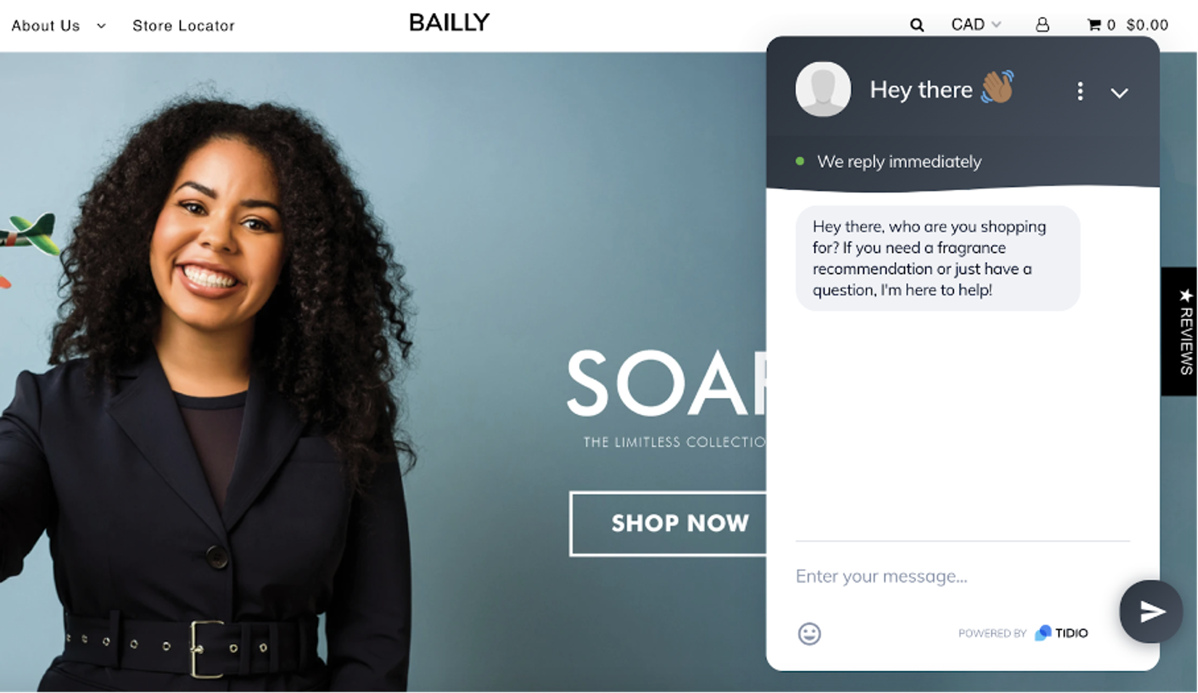 Bailly ecommerce business live chat