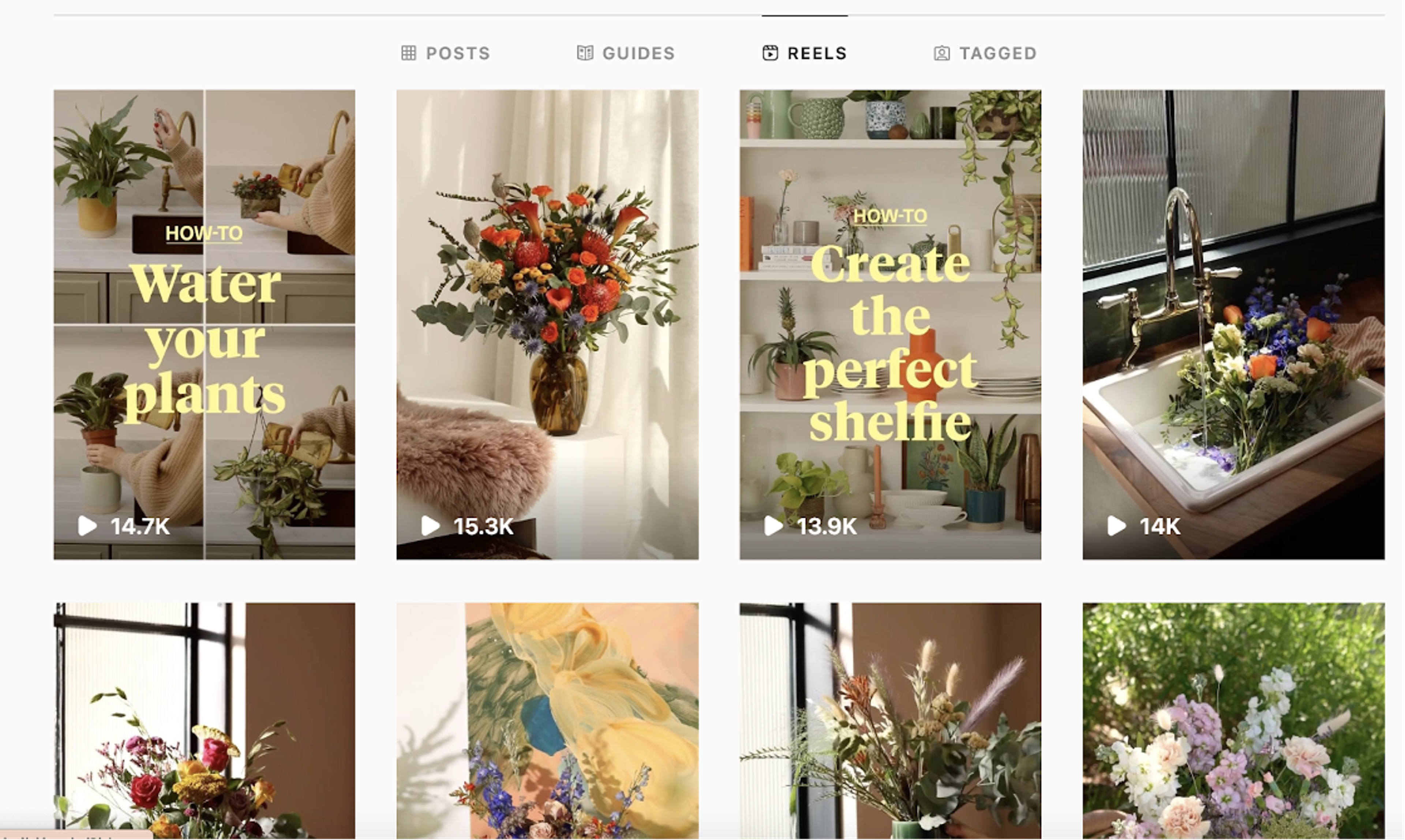 Bloom &amp; Wild’s Instagram reels