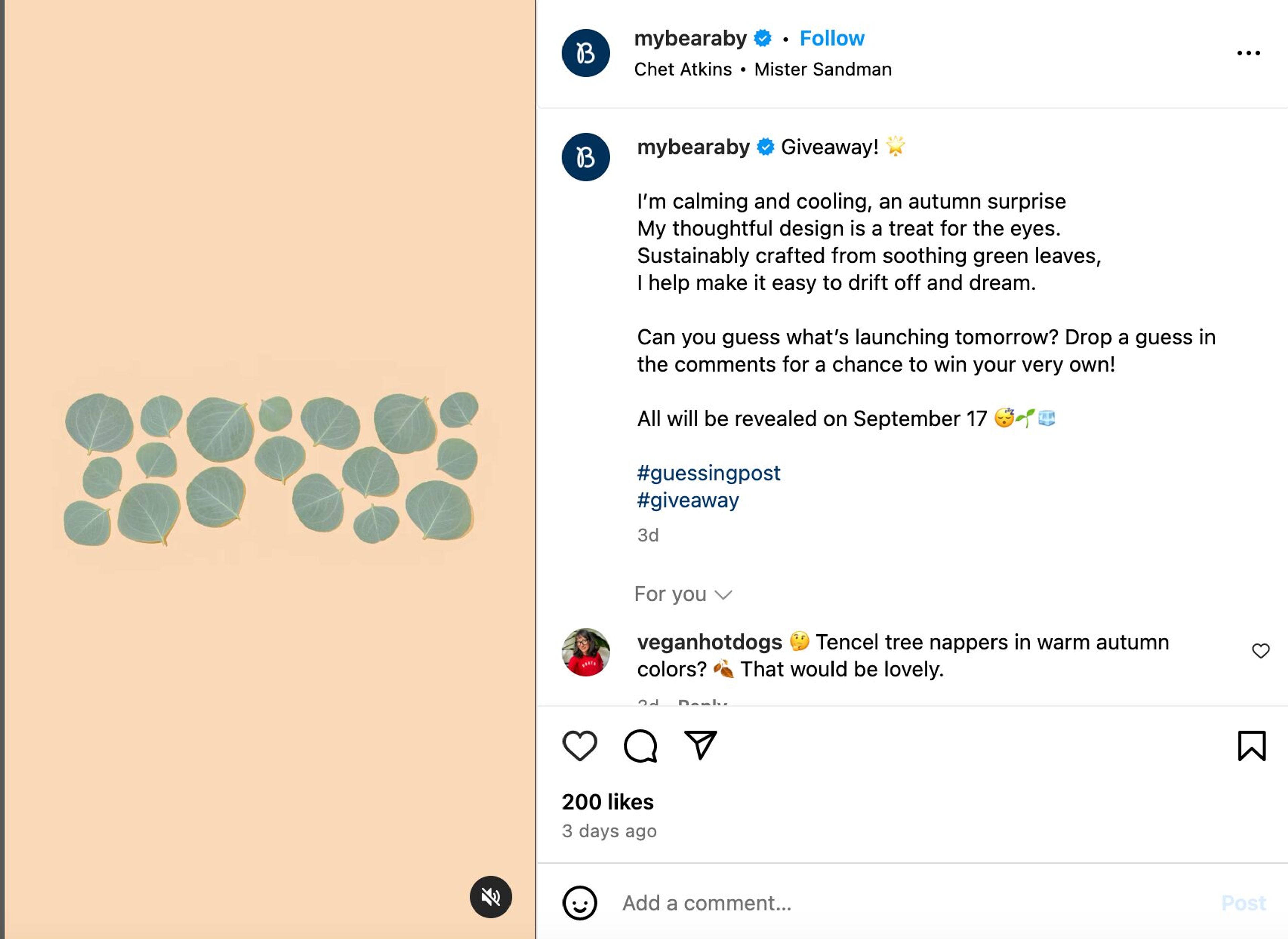 Bearaby fall giveaway