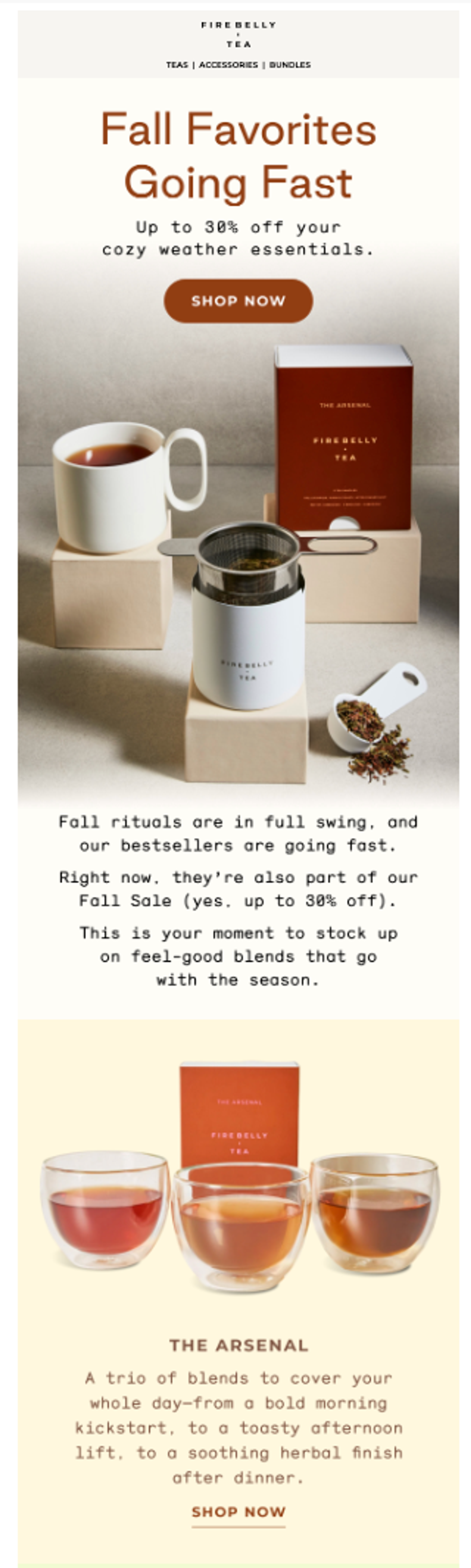 Seasonal email by Firebelly Tea