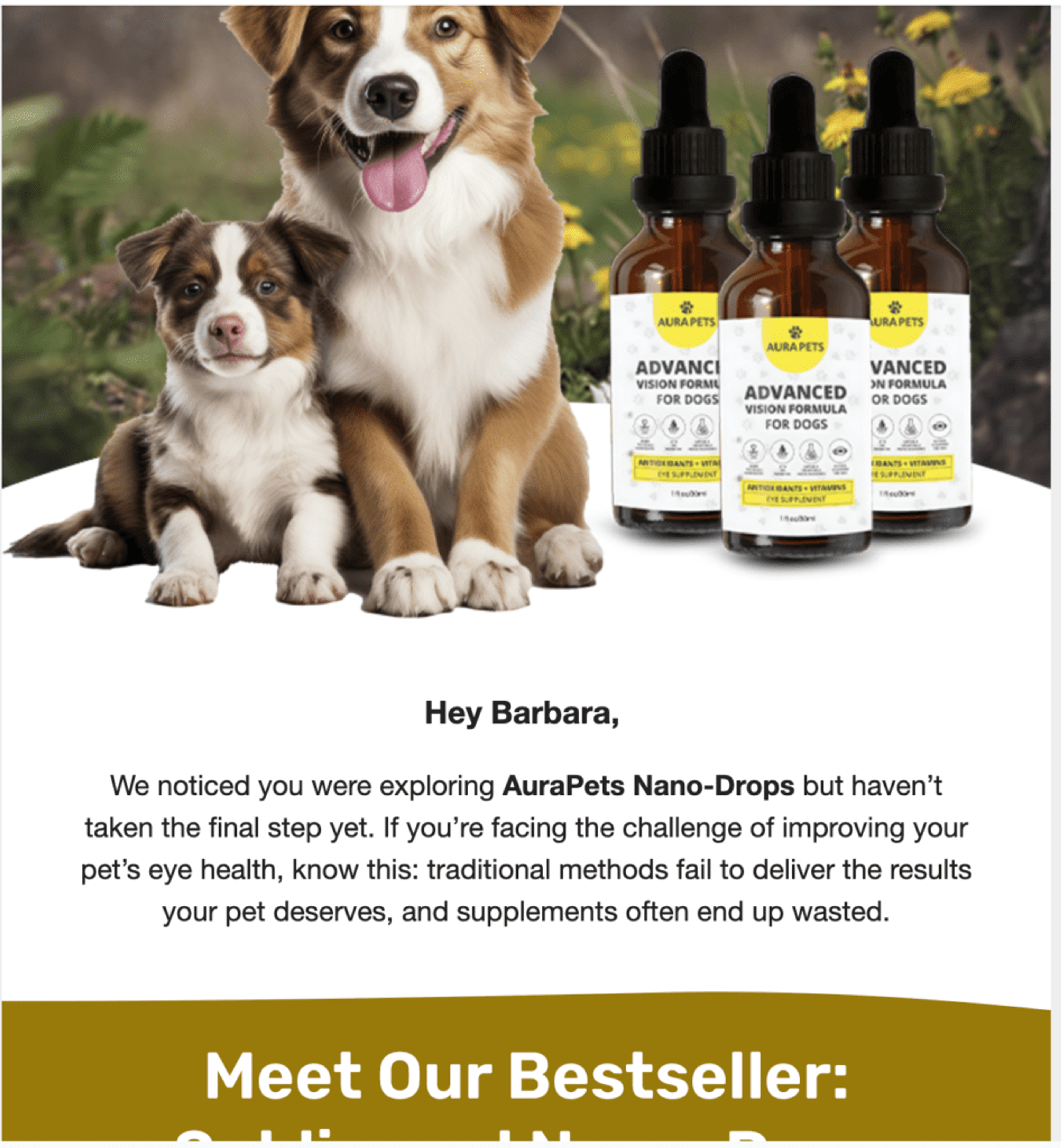 Illustration for: The Ultimate Guide to Ecommerce Retargeting