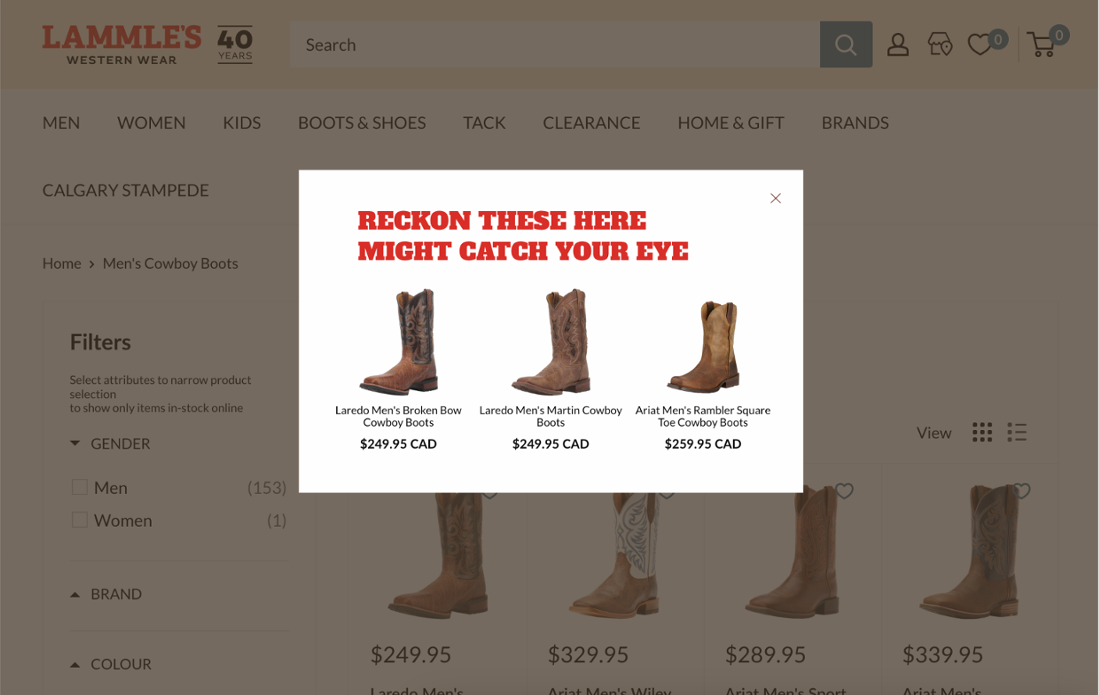 Conversion optimization on Lammle's e-commerce site