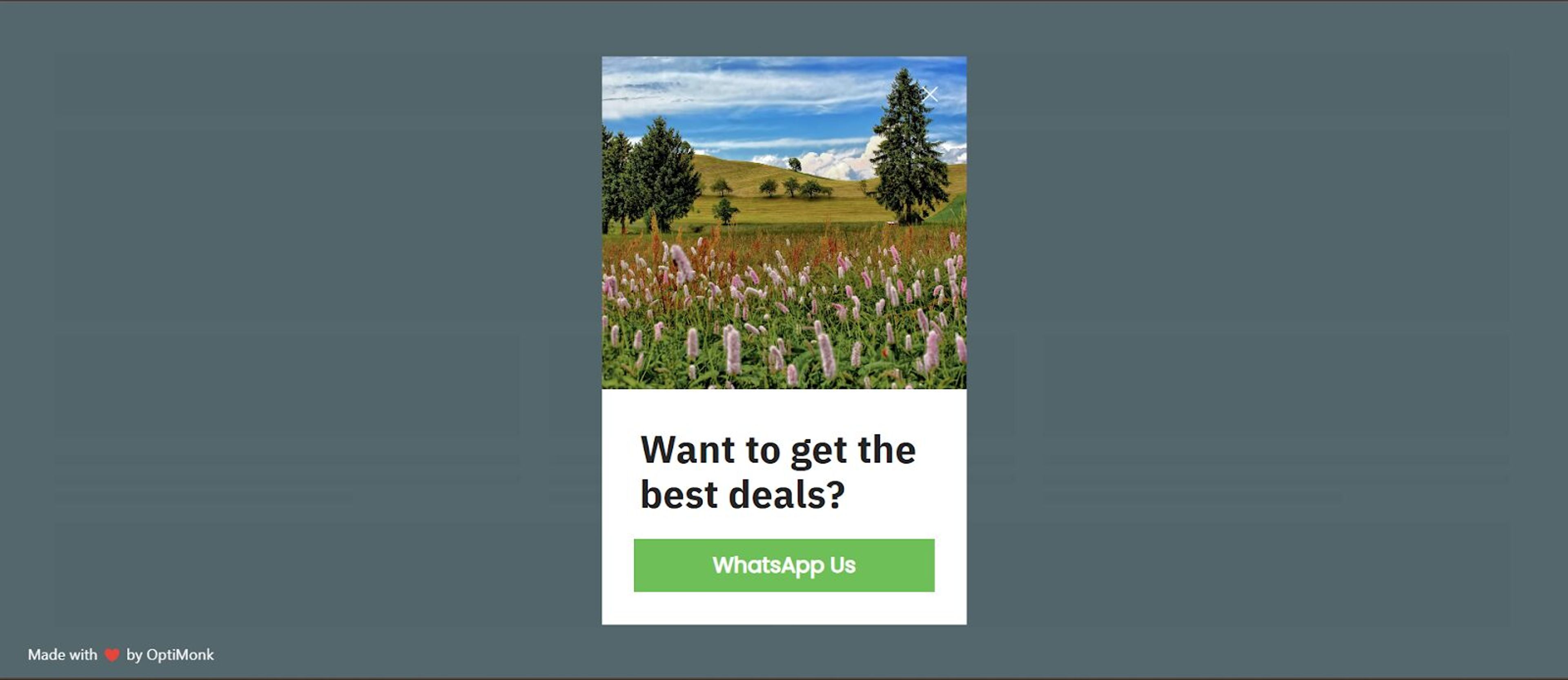 Social pop ups are a great to connect your audience on a personal level.