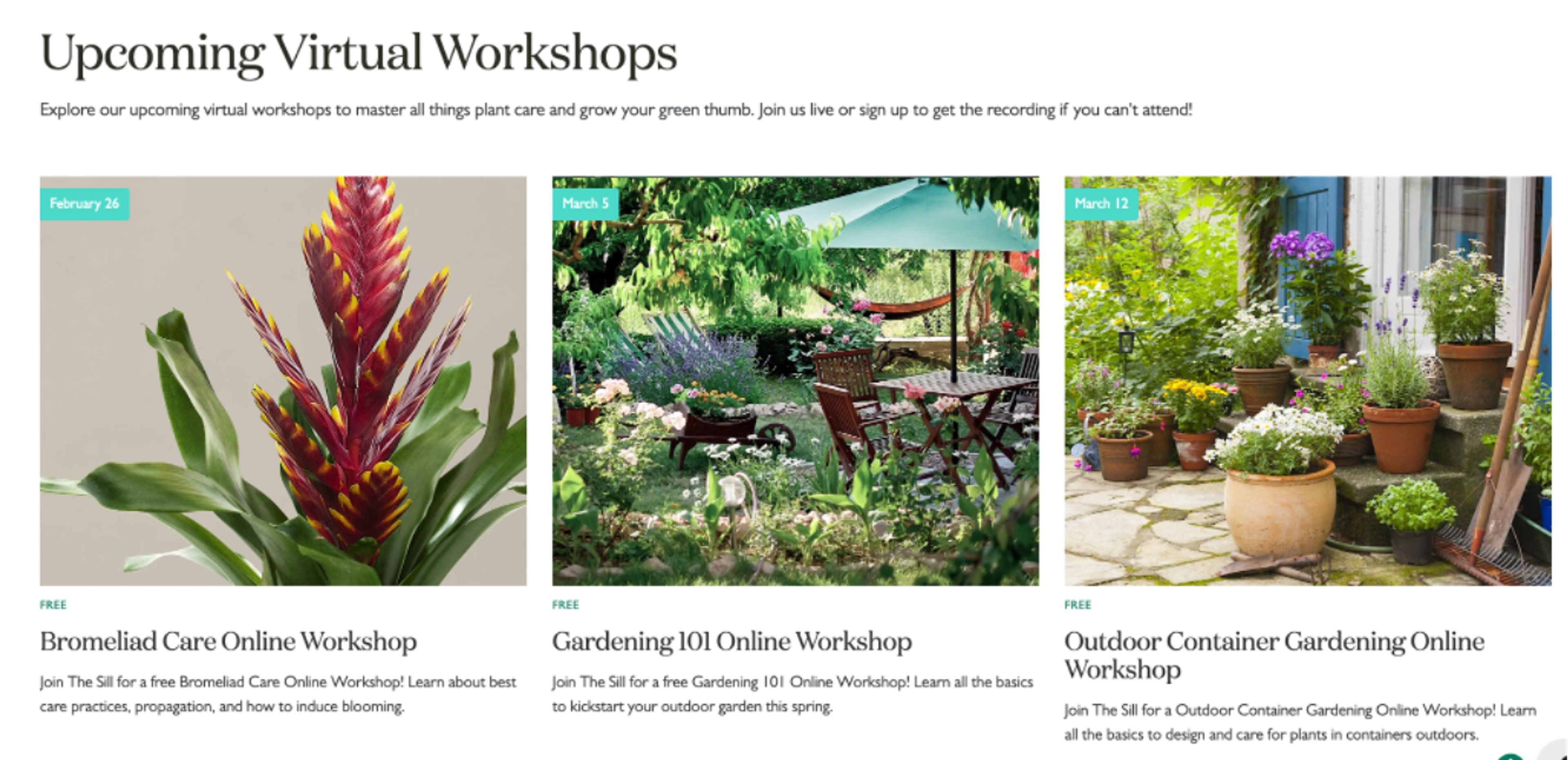 The Sill online workshops