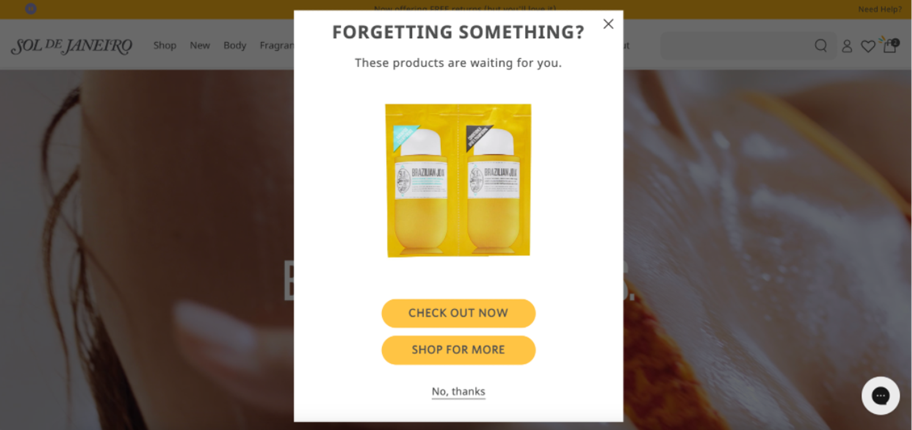 Sol de Janeiro cart reminder popup