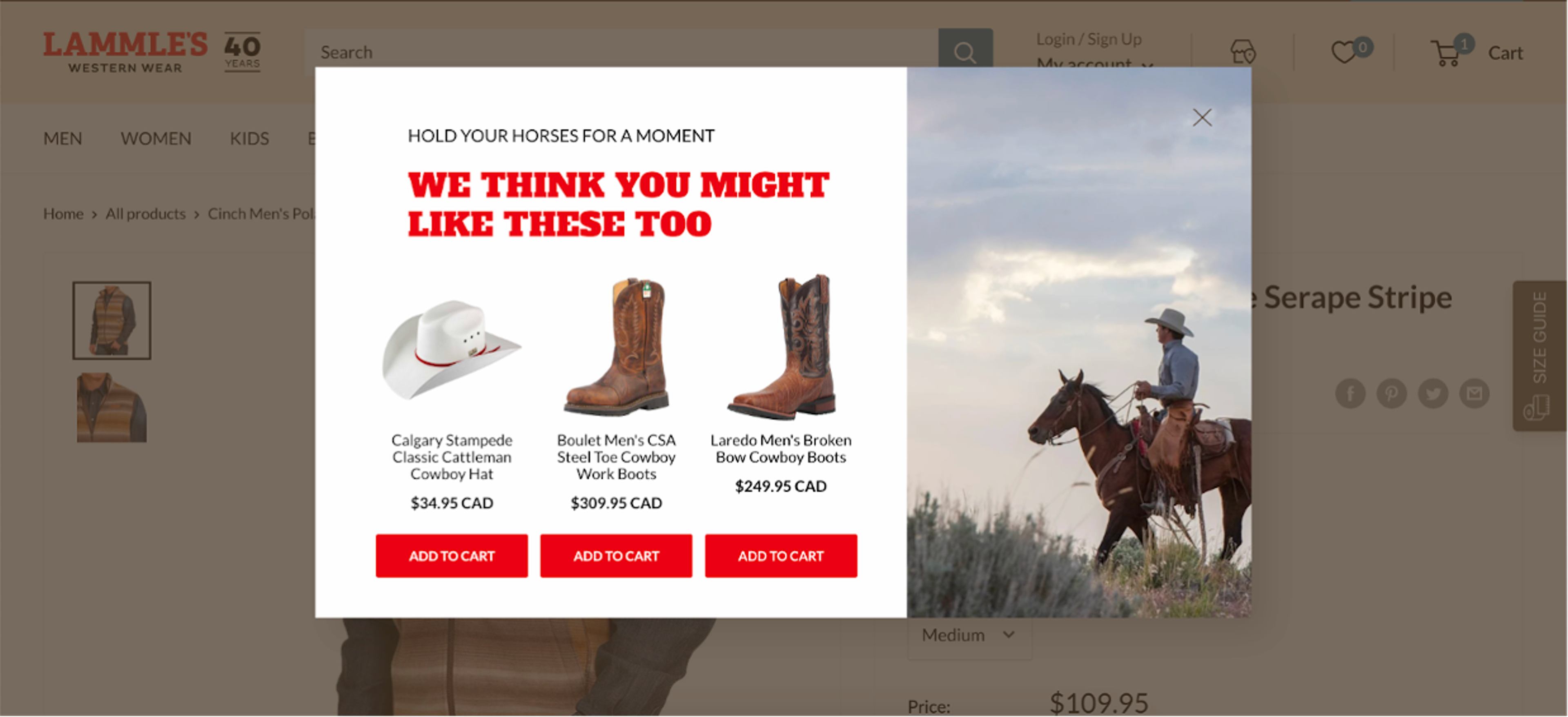 Lammle's exit-intent popup on an ecommerce product detail page