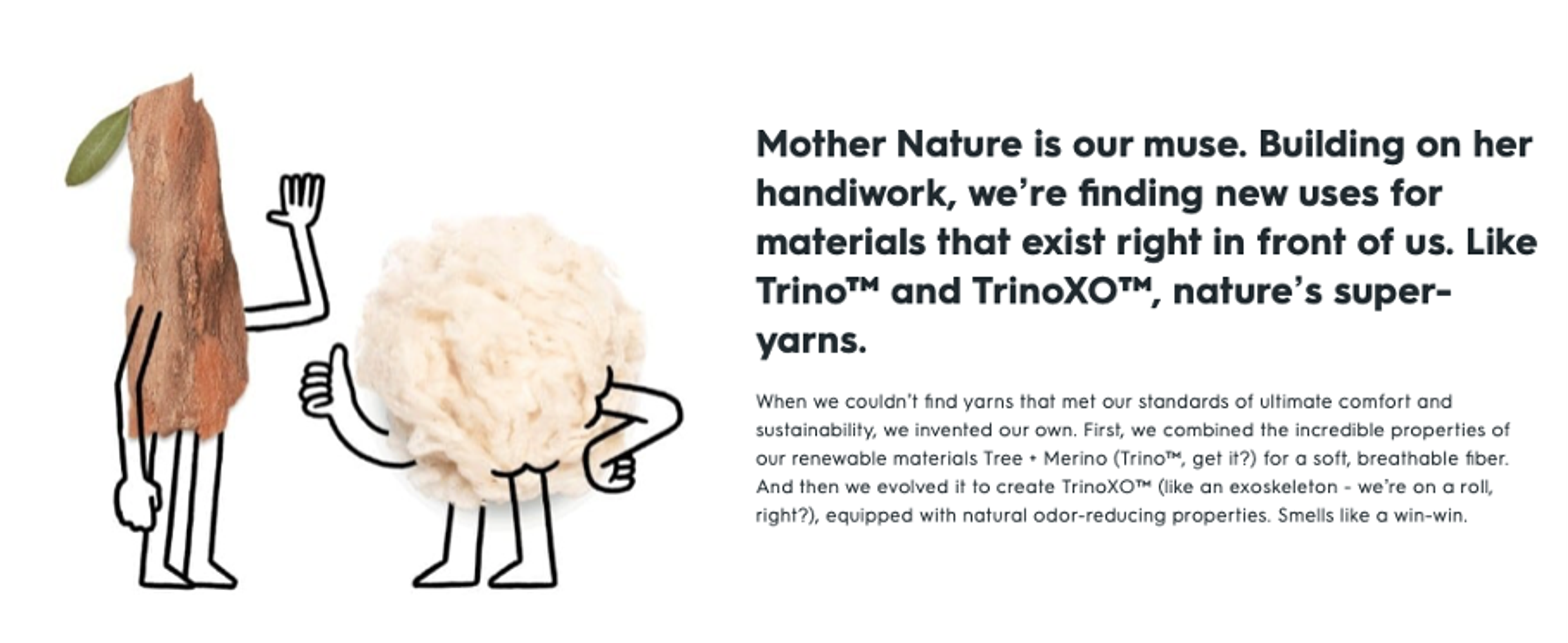 Allbirds fun brand identity on website