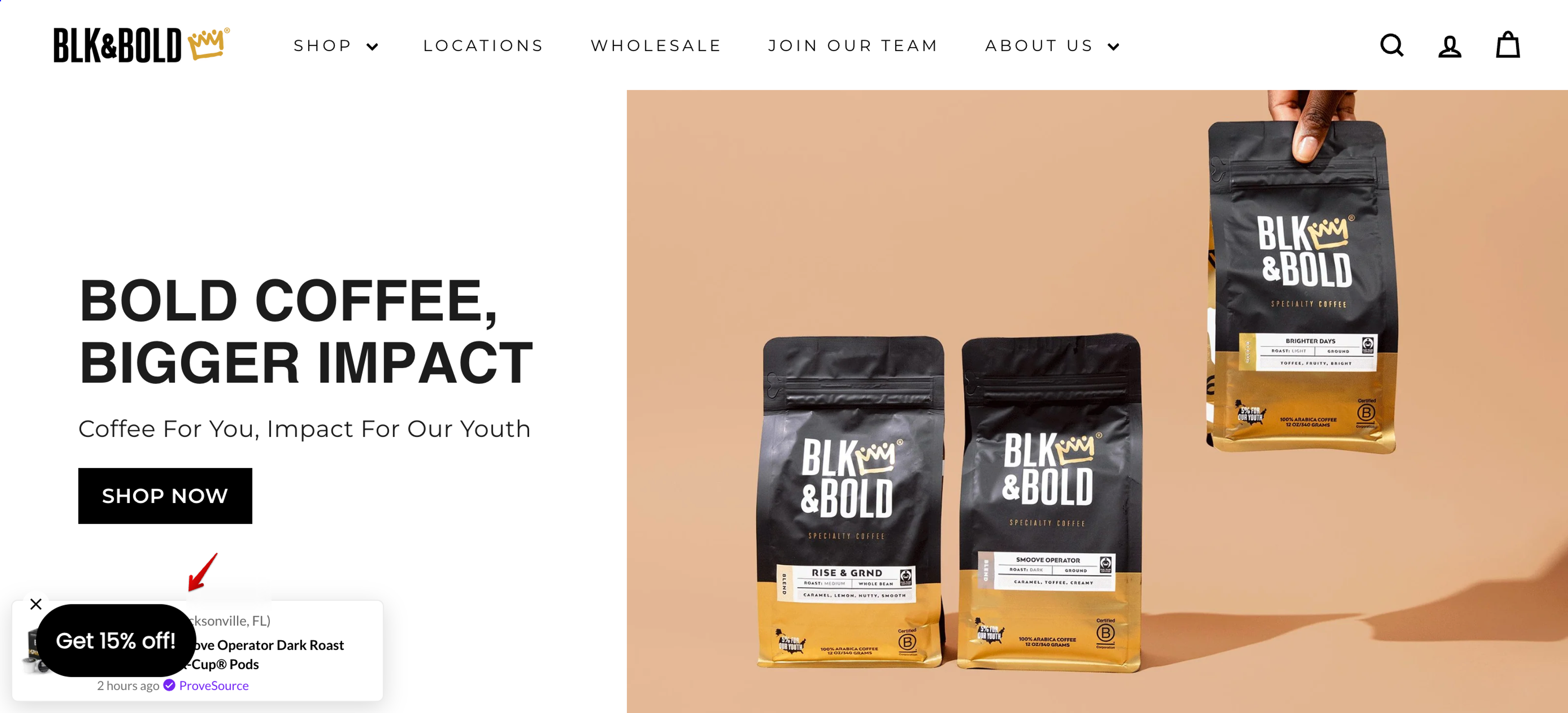 BLK&amp;BOLD sign up form examples the power of teasers.