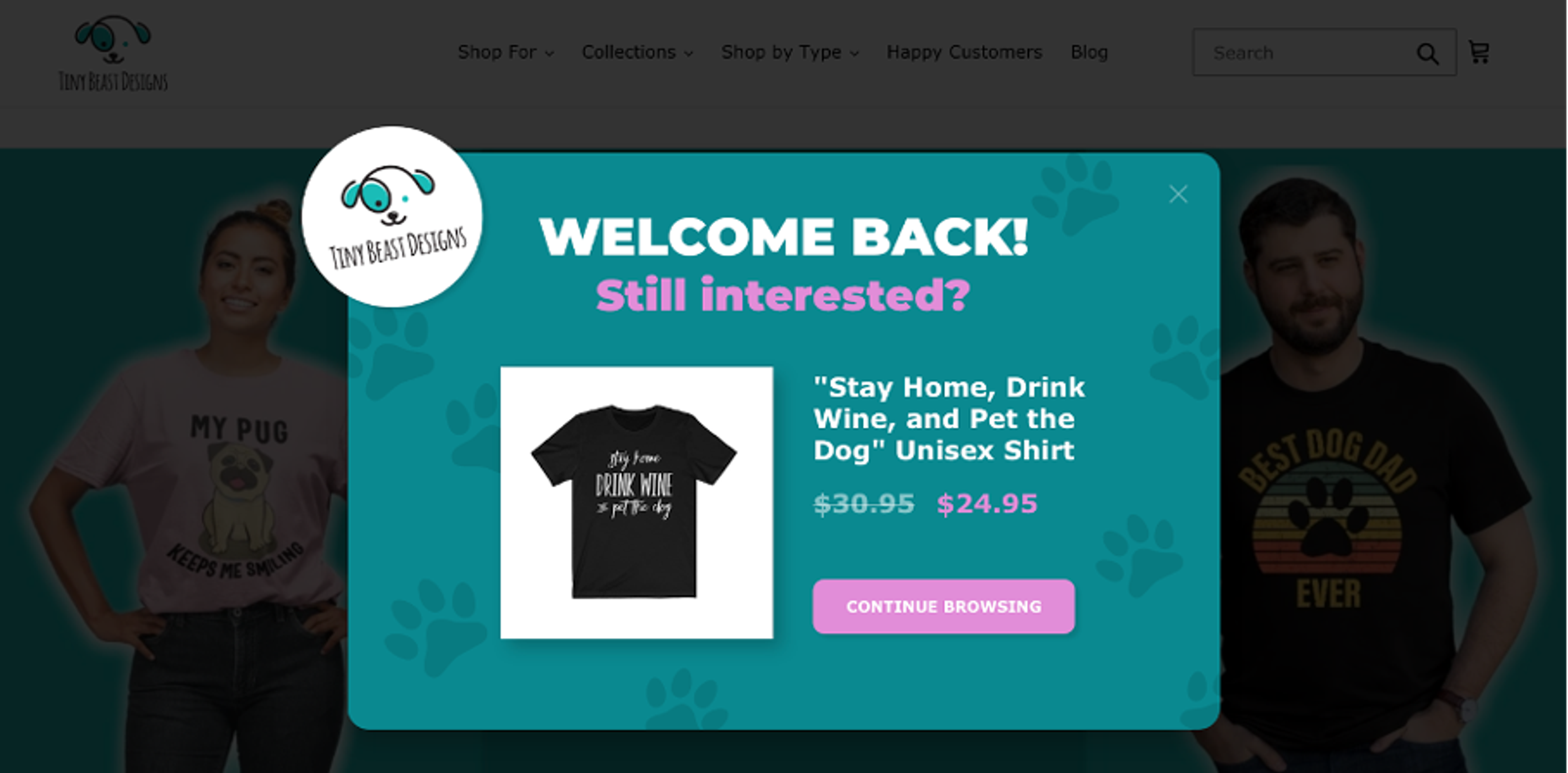 Example of e-commerce popup for recovering a sale