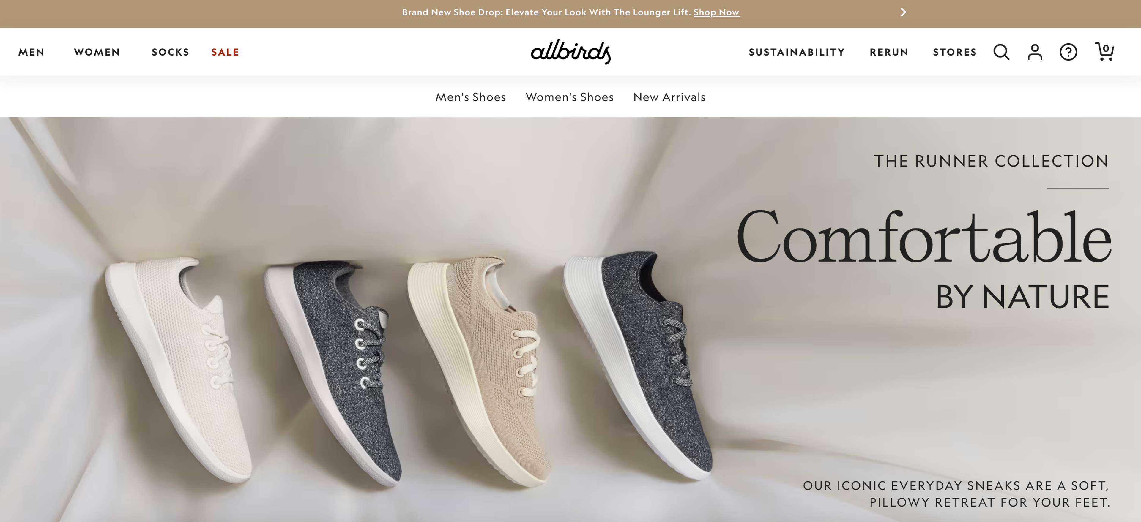 Allbirds Shopify store