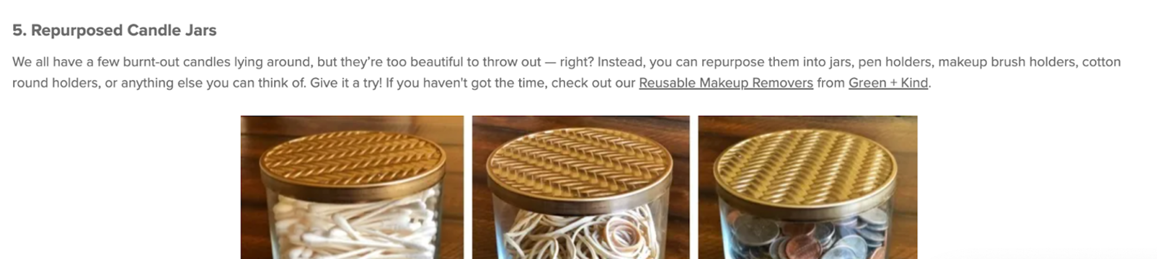 A blog post on Flora &amp; Fauna’s website