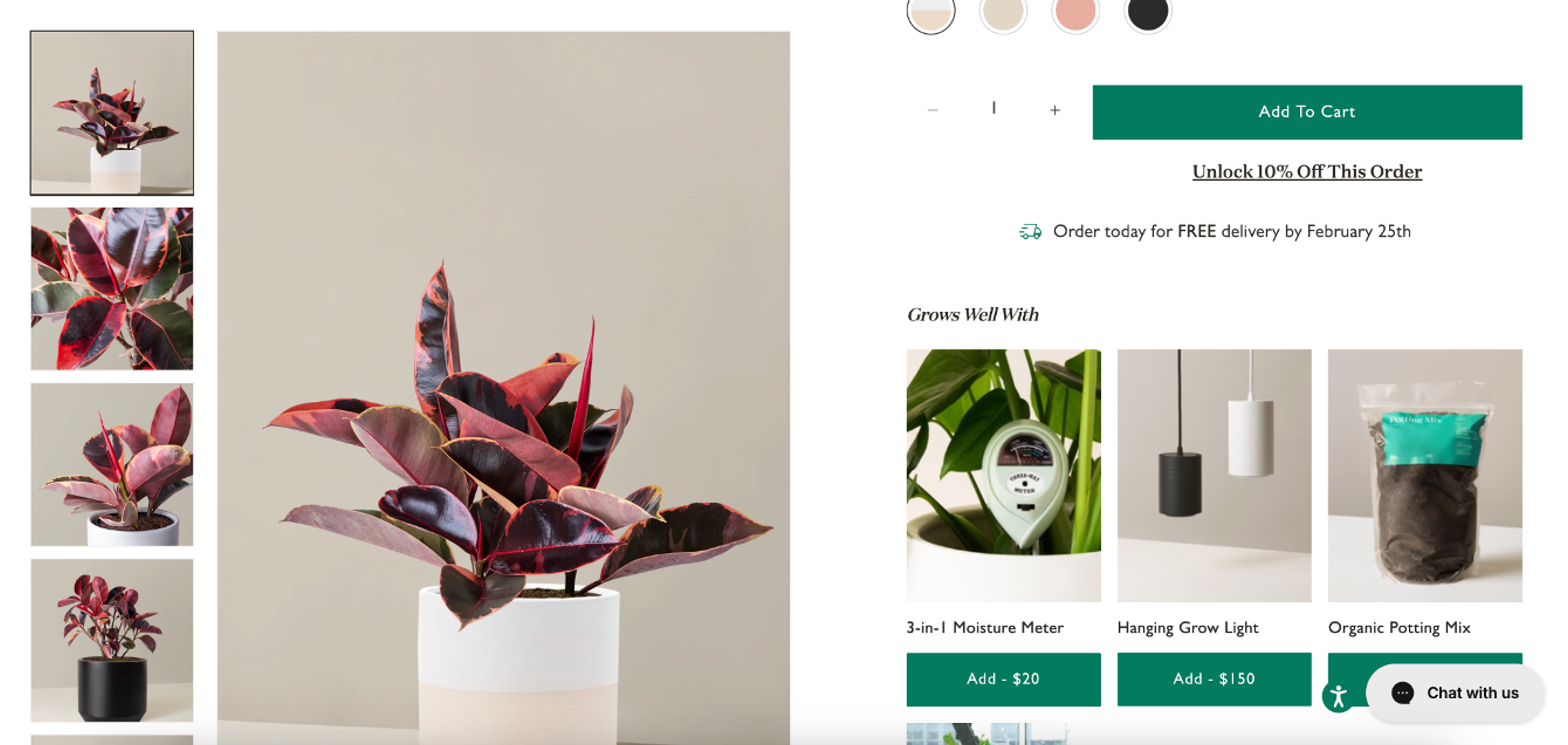 The Sill upselling on product pages