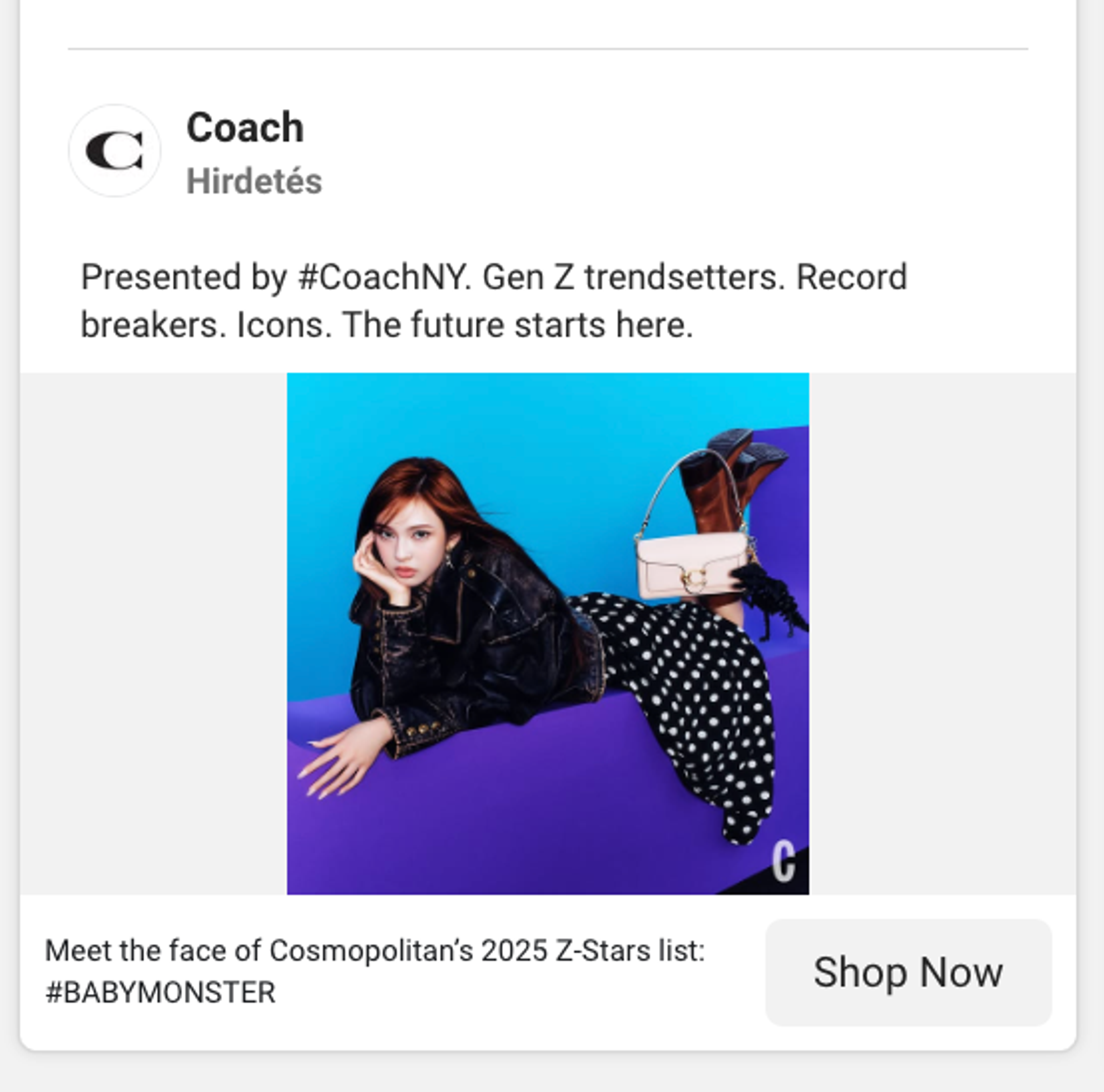 Coach Facebook advertisement