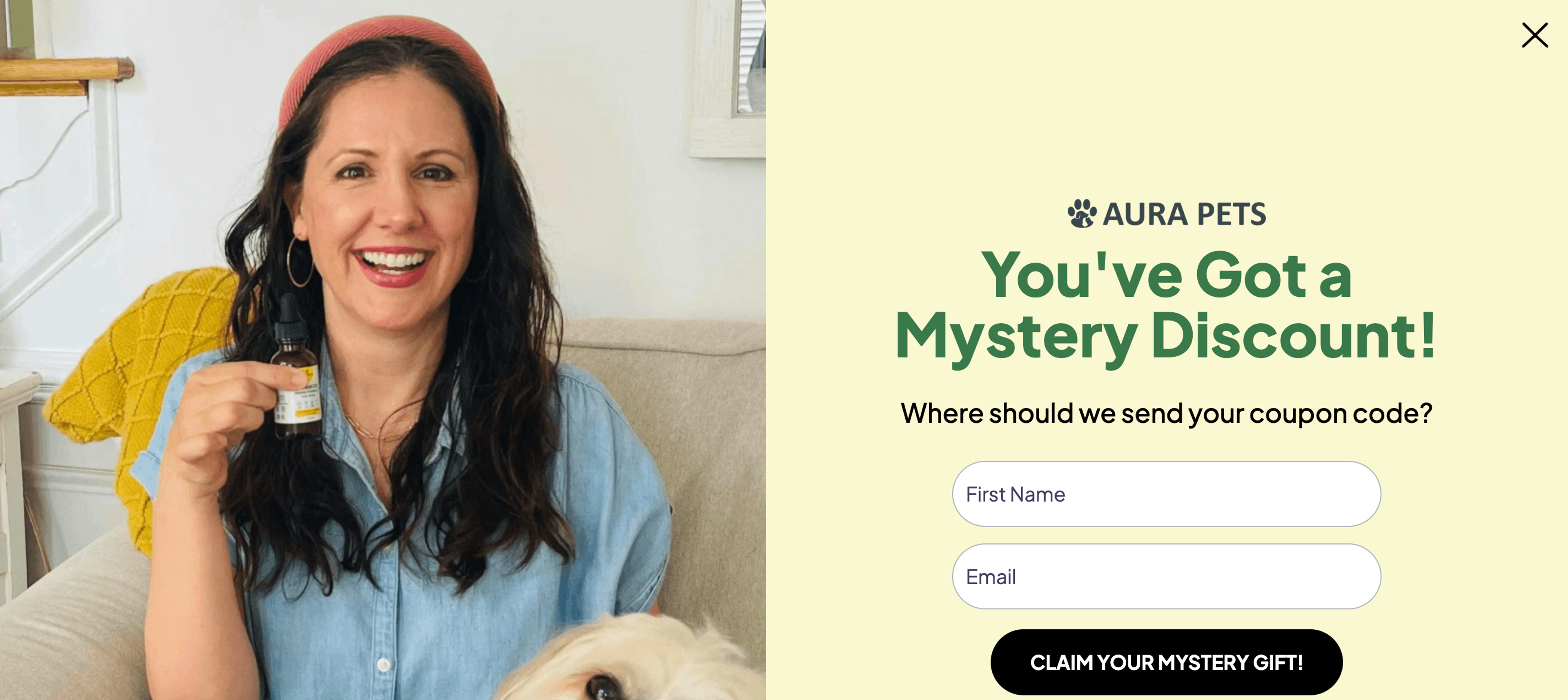 Aura Pets mystery discount