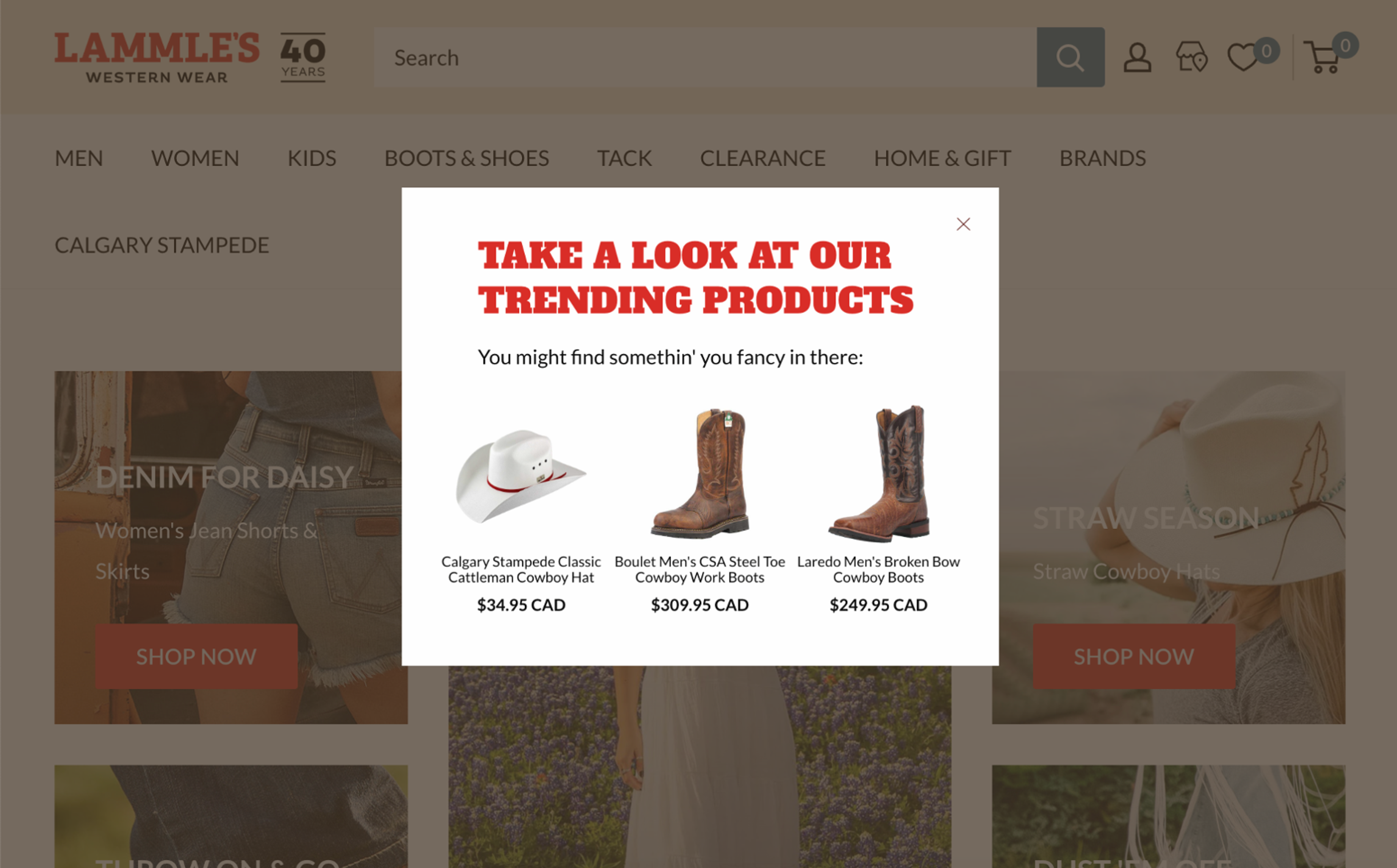 Illustration for: How Lammle's Boosted Online Sales by 23.5% Without Discounting