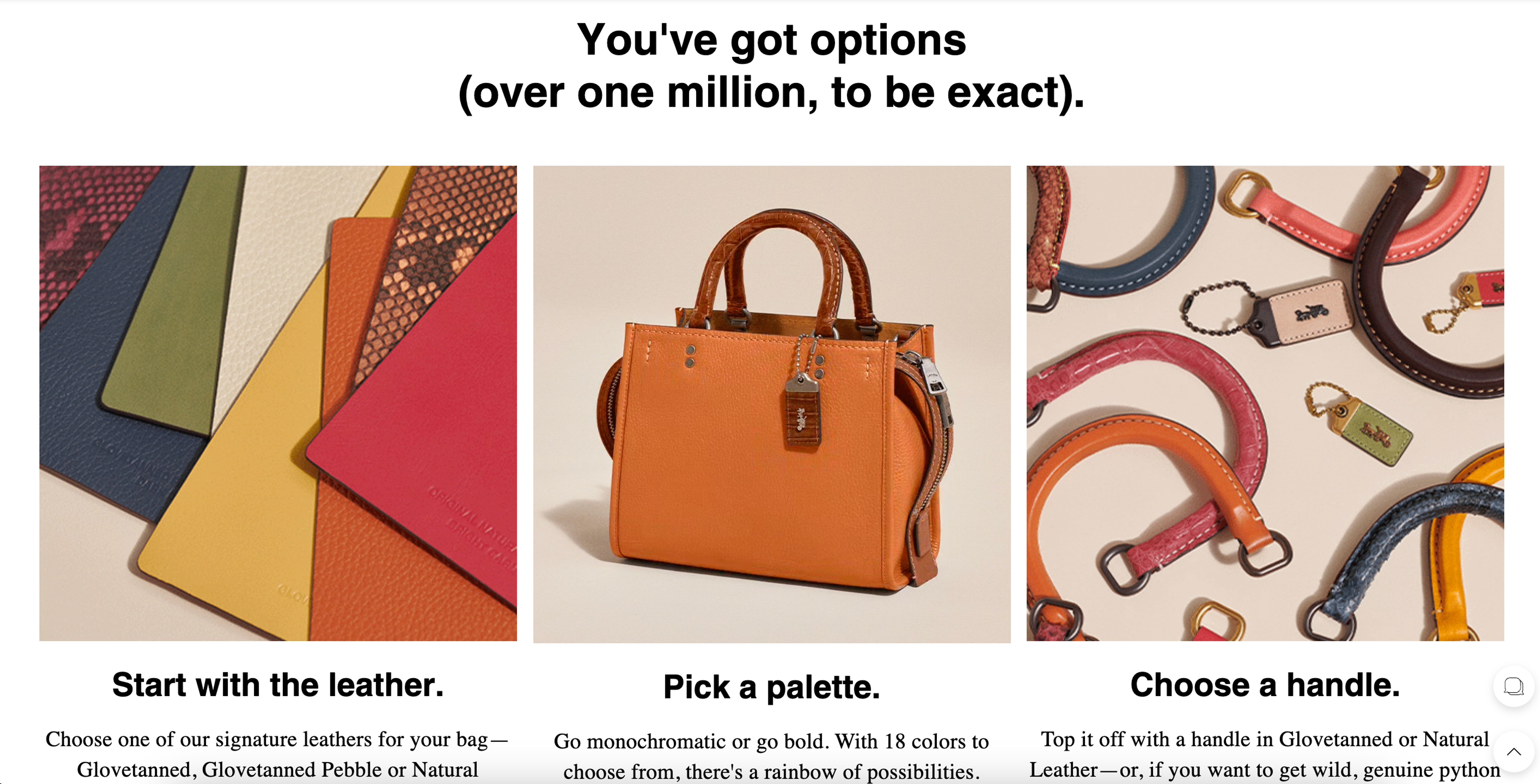 Illustration for: Coach Brand Marketing: Winning Strategies for Luxury, Digital Growth, and Consumer Engagement