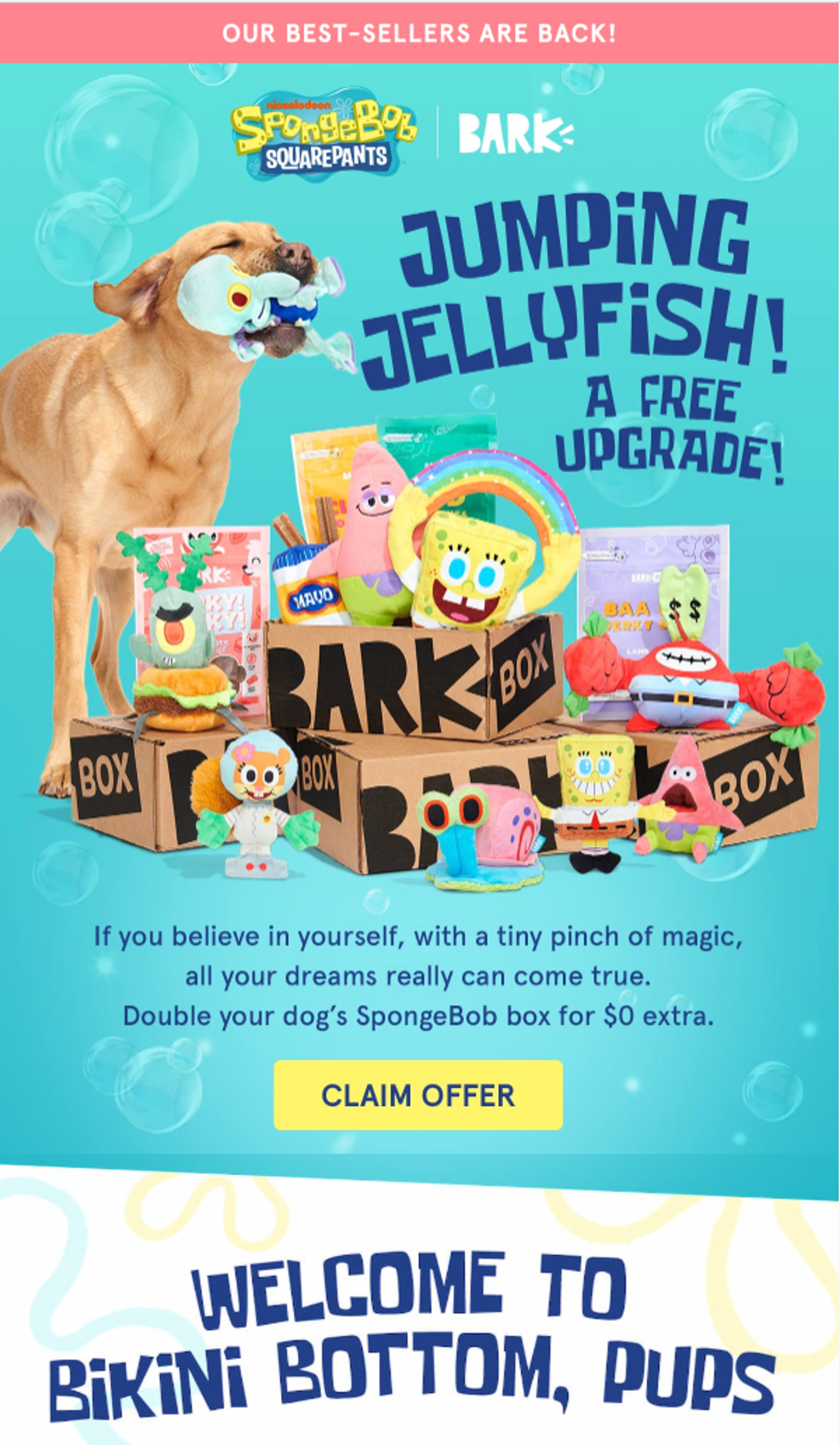 BARK Spongebob's email, which is really colorful and convincing