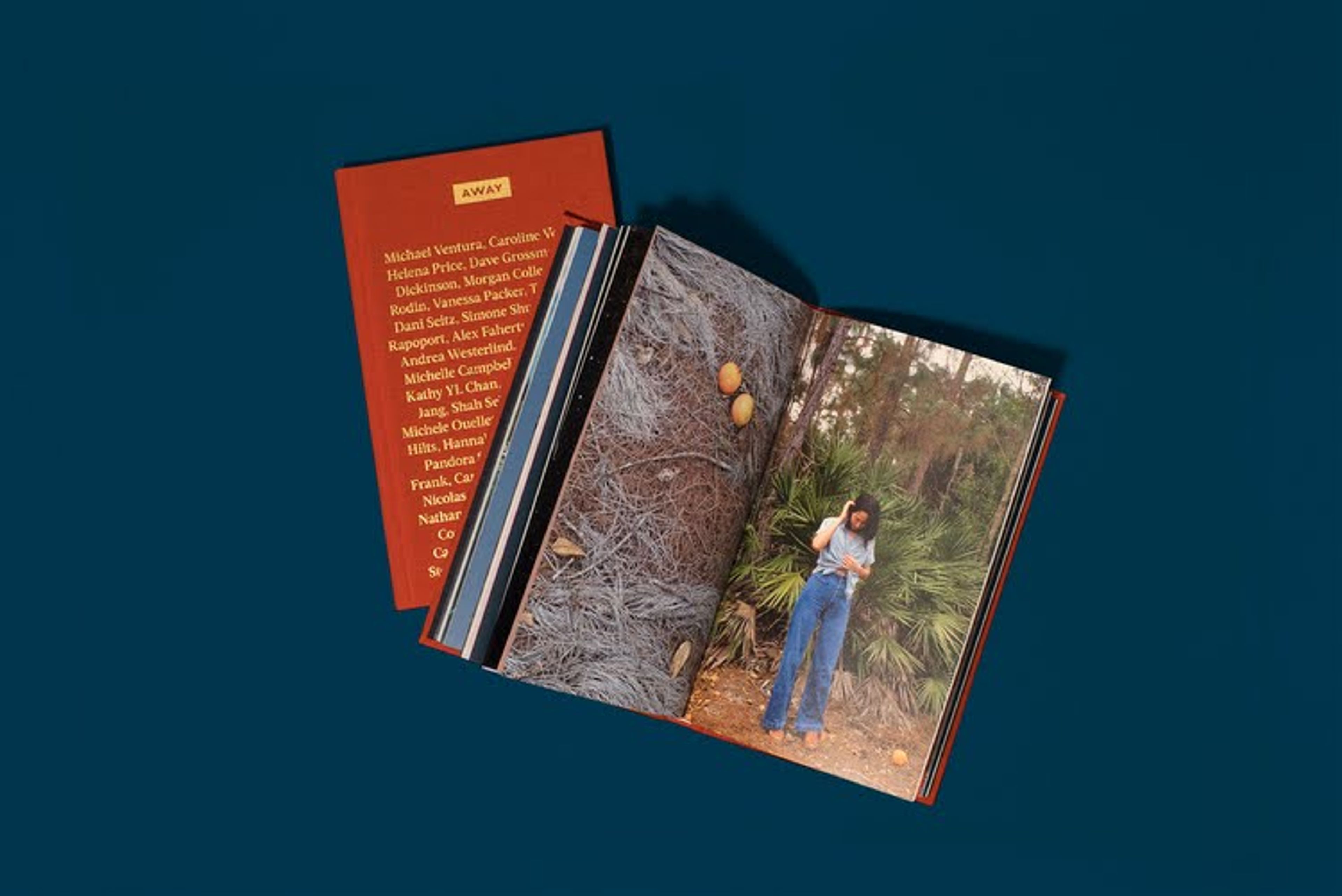 Illustration for: How Away Reached $1.4 Billion by Turning Luggage into a Travel Lifestyle