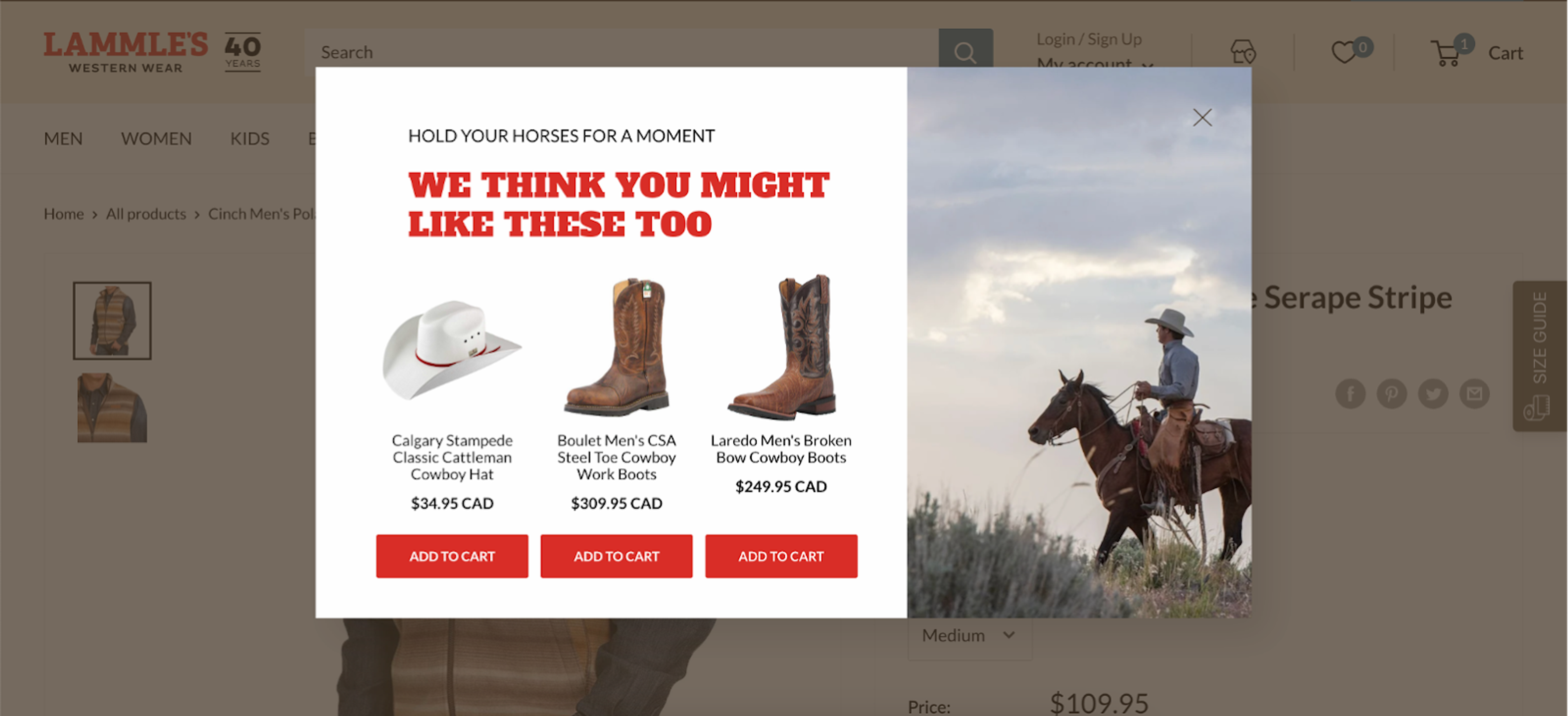 Lammle's landing page pop ups highlighting the bestsellers to increase revenue.