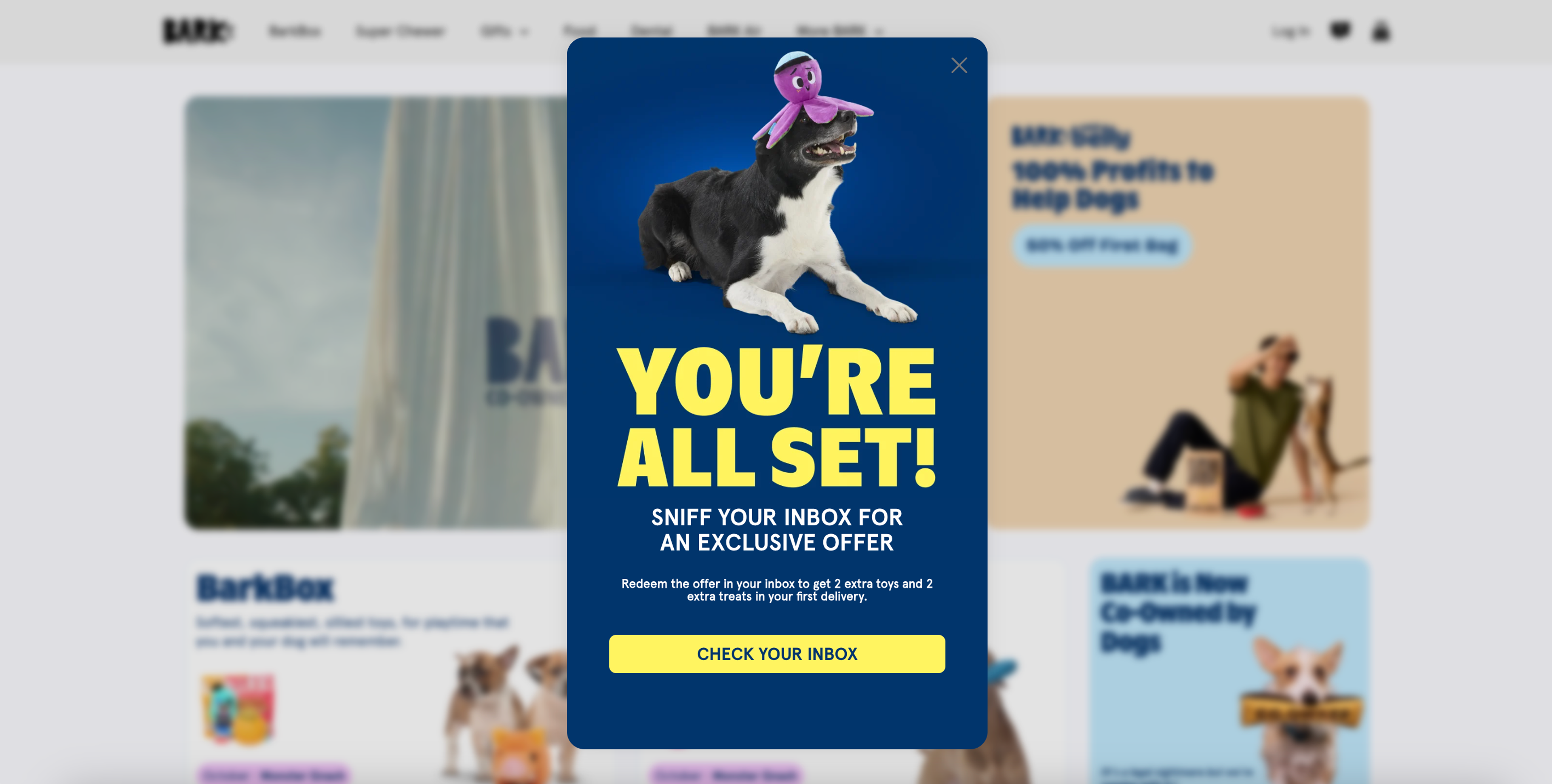 The last page of the multi-step popup