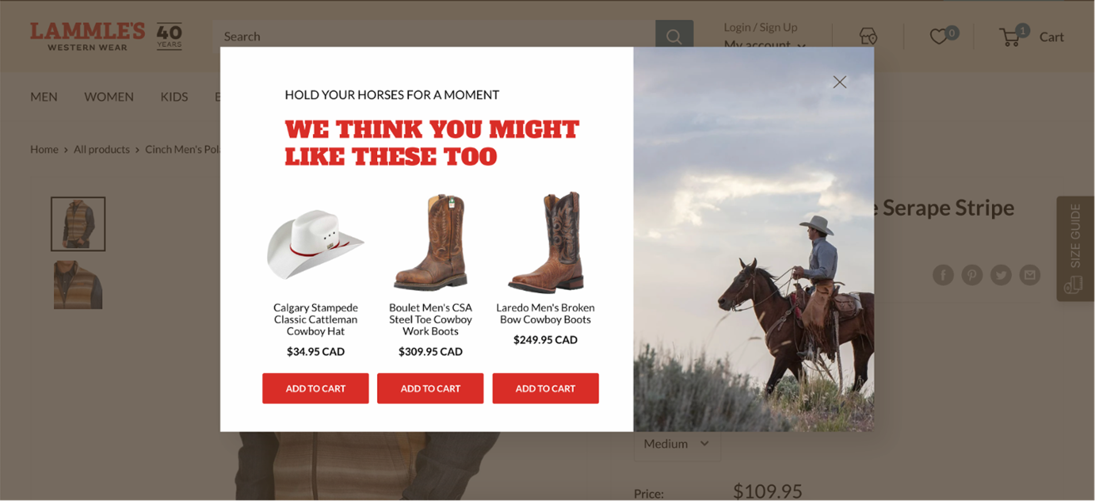 Lammle's product recommendation pop-up on product pages