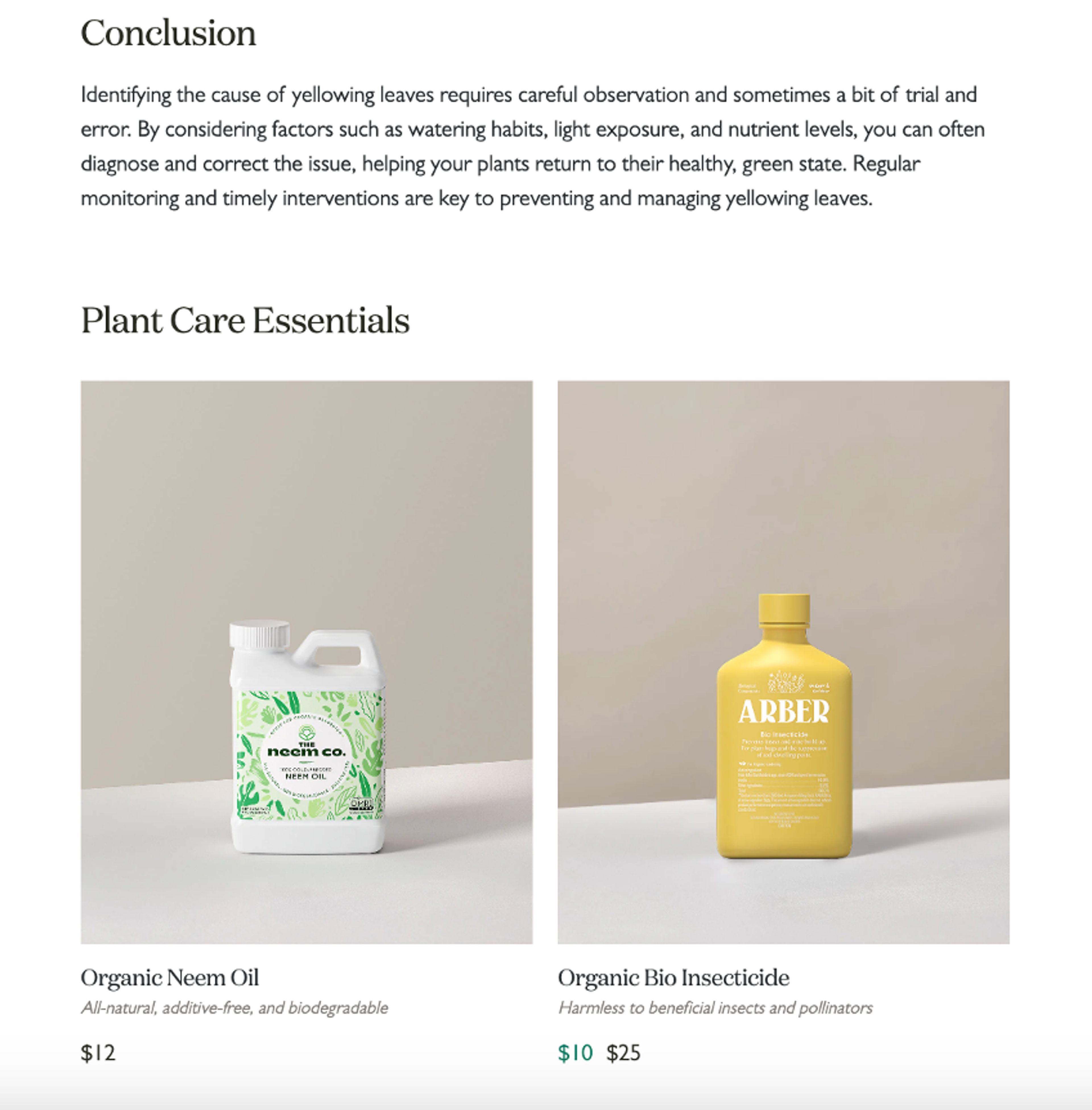 The Sill blog relevant product recommendation