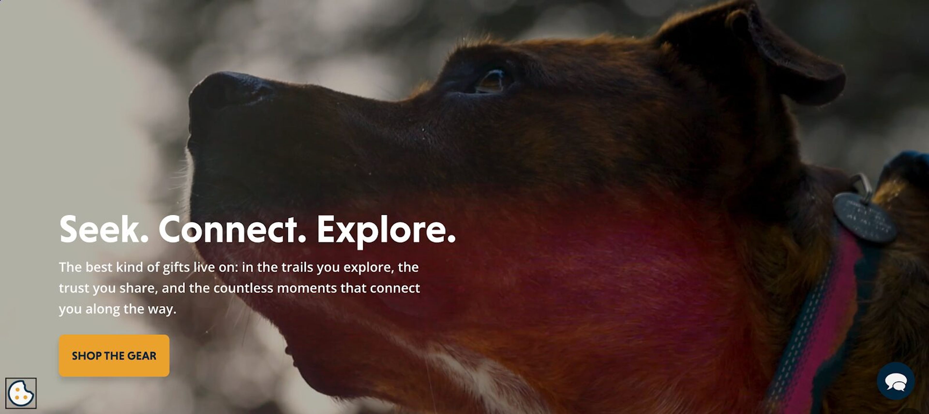 Three powerful verbs that summarize the brand’s mission and lifestyle, appealing to adventure-loving pet owners.
