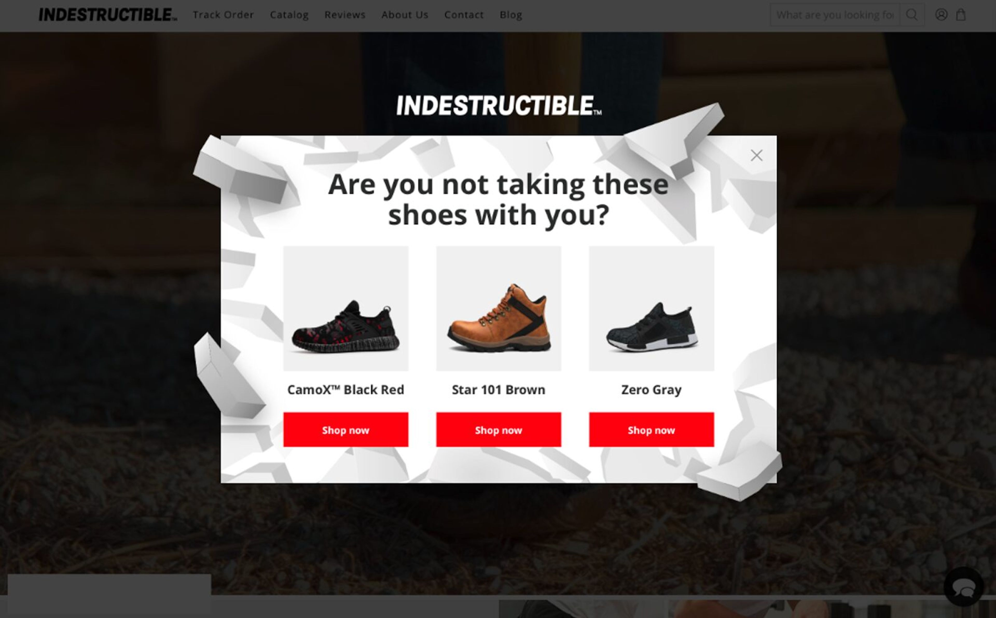 Product recommendations on autopilot to maximize conversions.