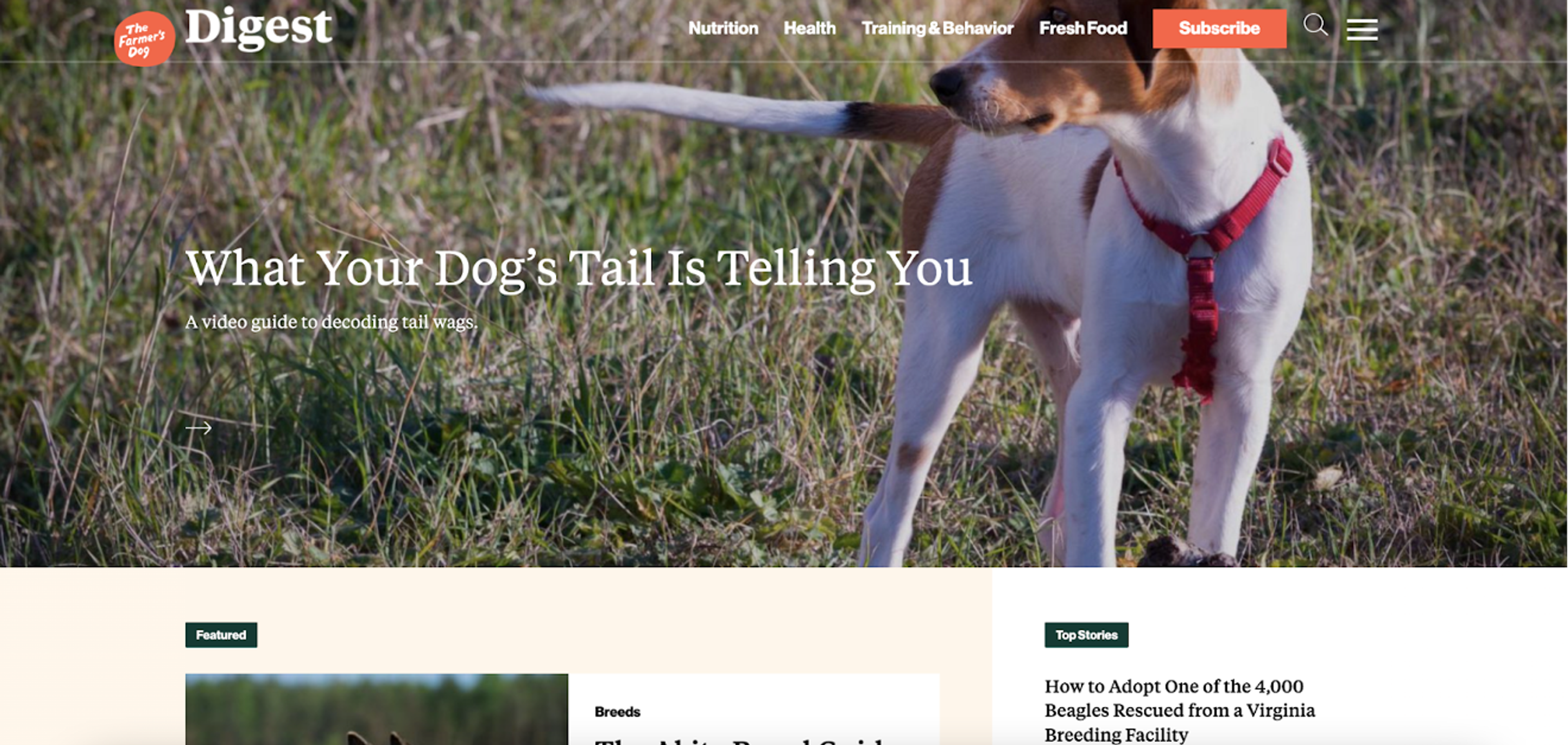 The Farmer’s Dog blog