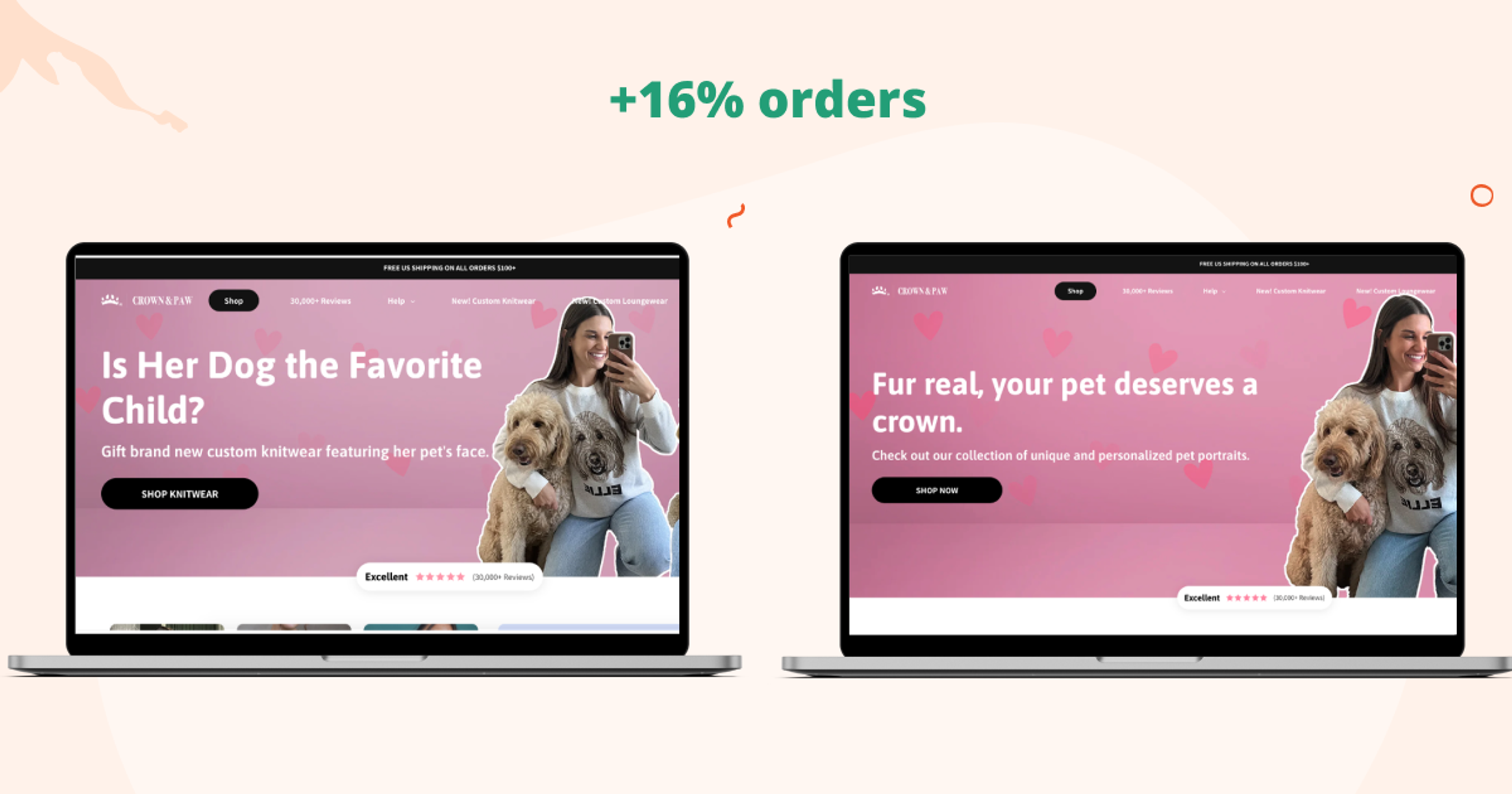 Crown &amp; Paw homepage headline test ideas