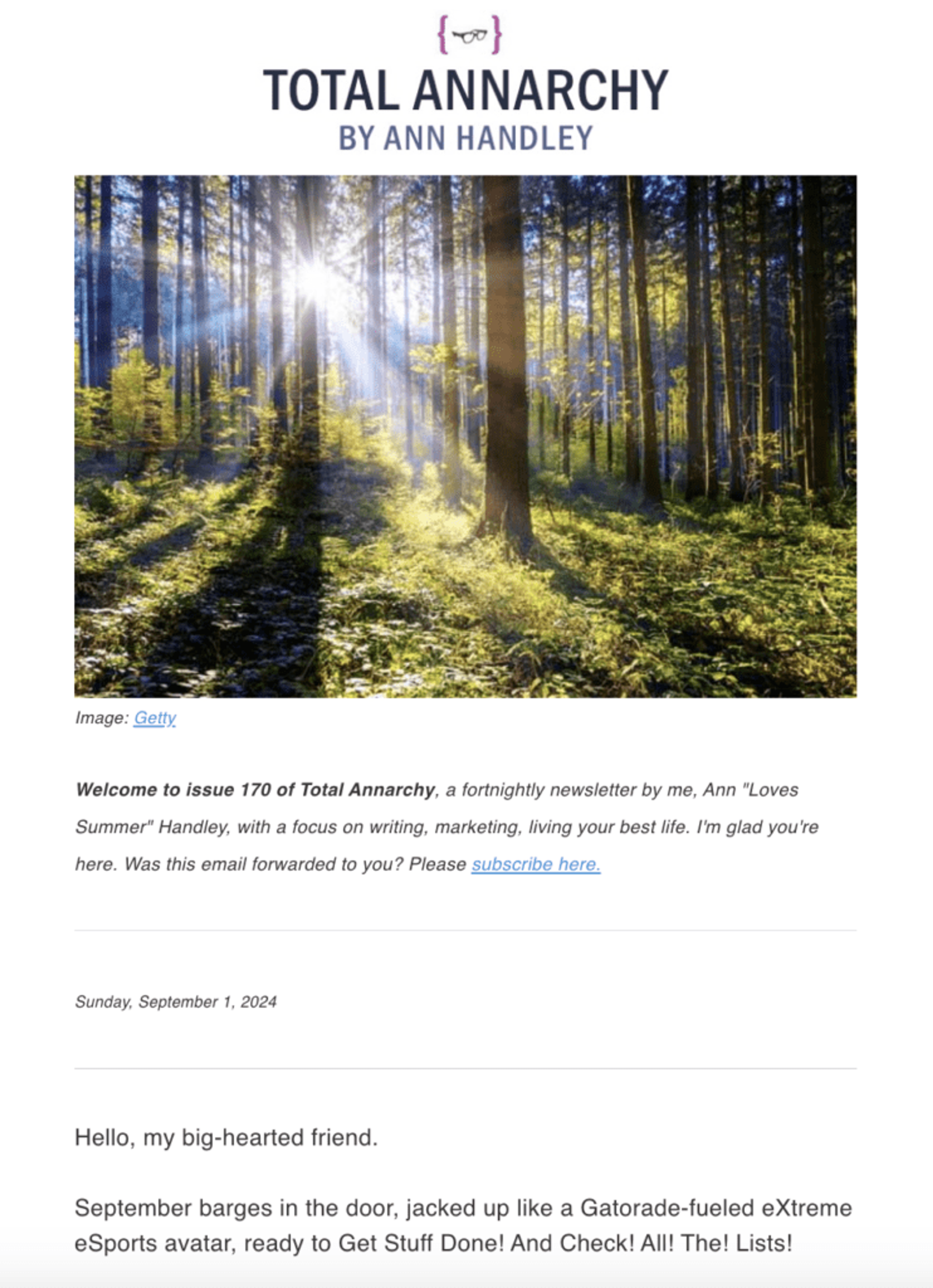 Total Annarchy by Ann Handley