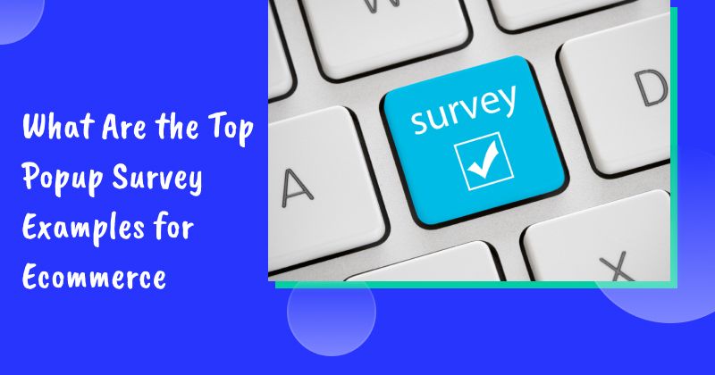 What Are the Top Popup Survey Examples for Ecommerce in 2026?