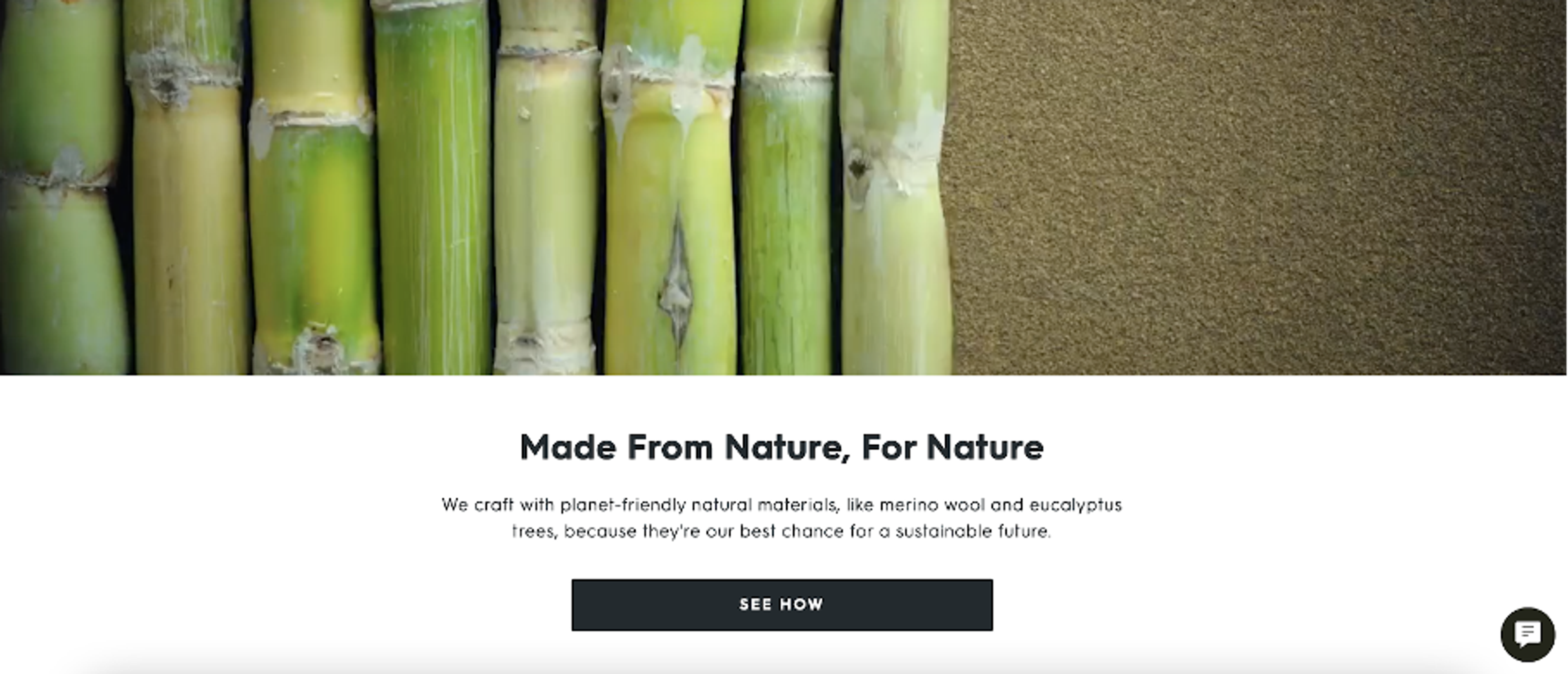 Allbirds footwear company using sustainable materials