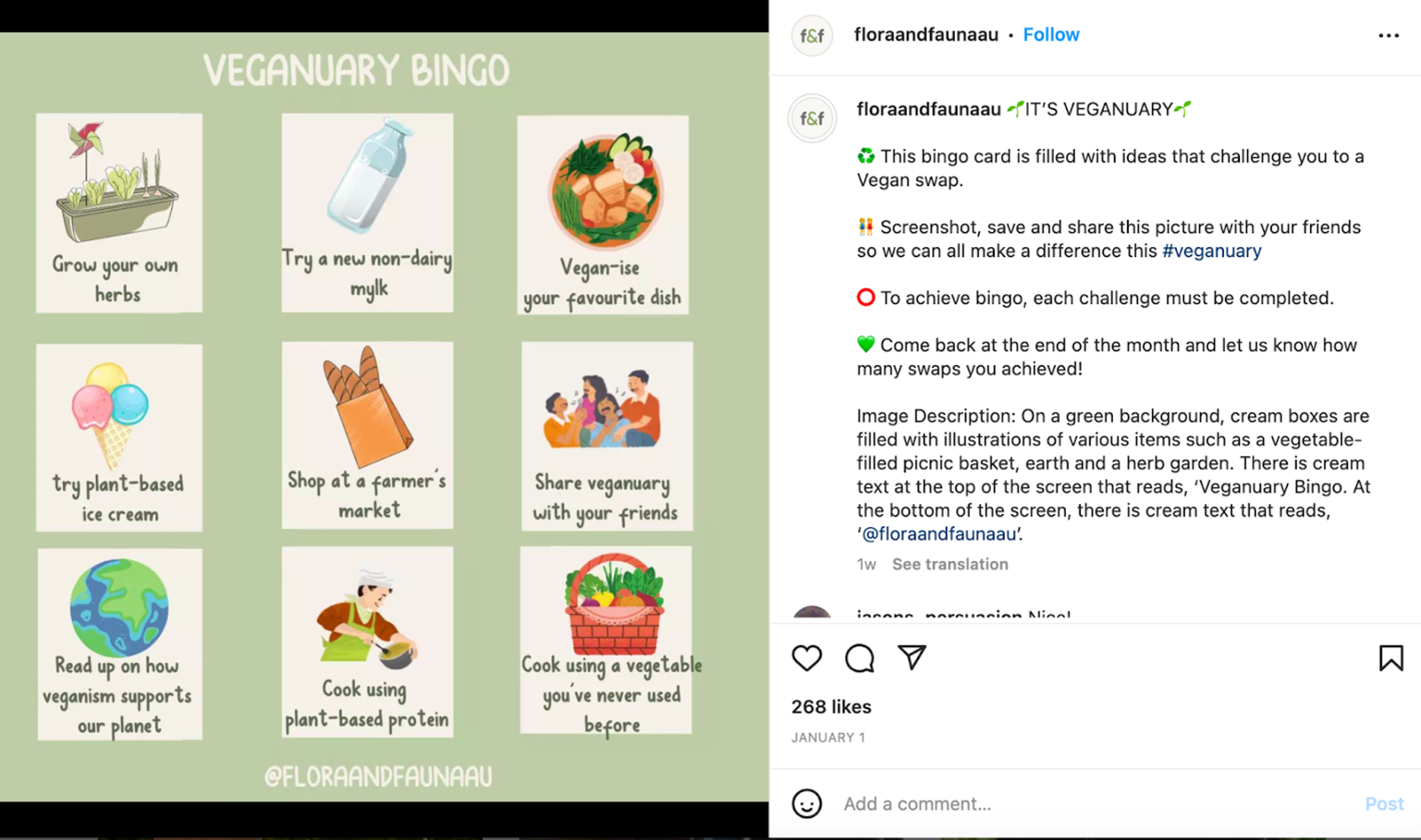 Illustration for: How Flora & Fauna Became Australia’s Largest Eco-Friendly Retailer