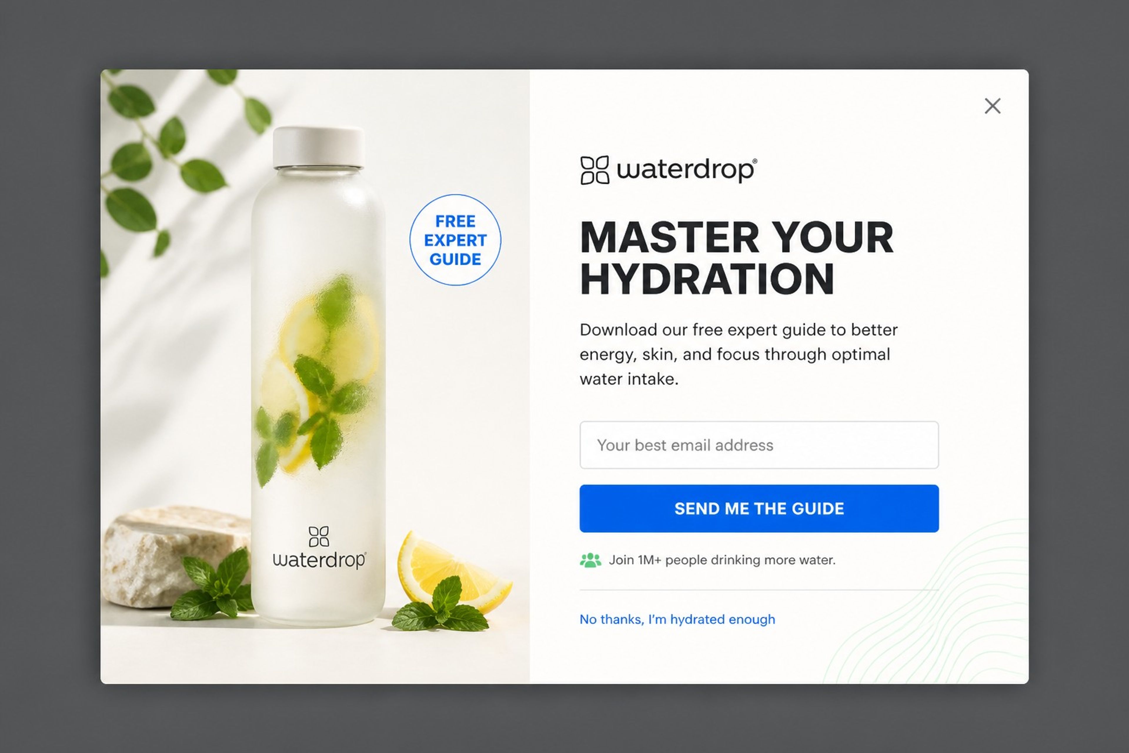 waterdrop exit-intent popup offering a free hydration guide
