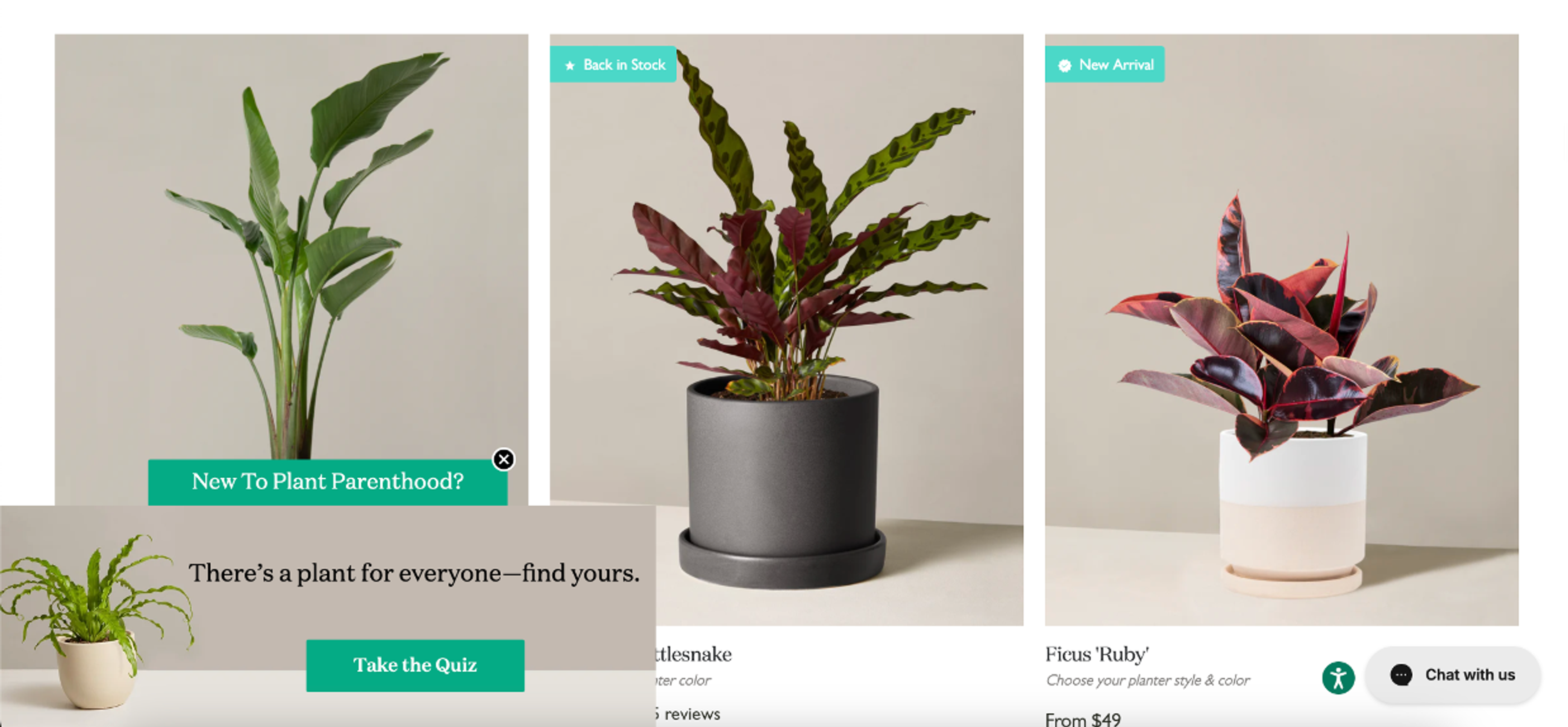 The Still sidemessage promoting their quiz on category pages