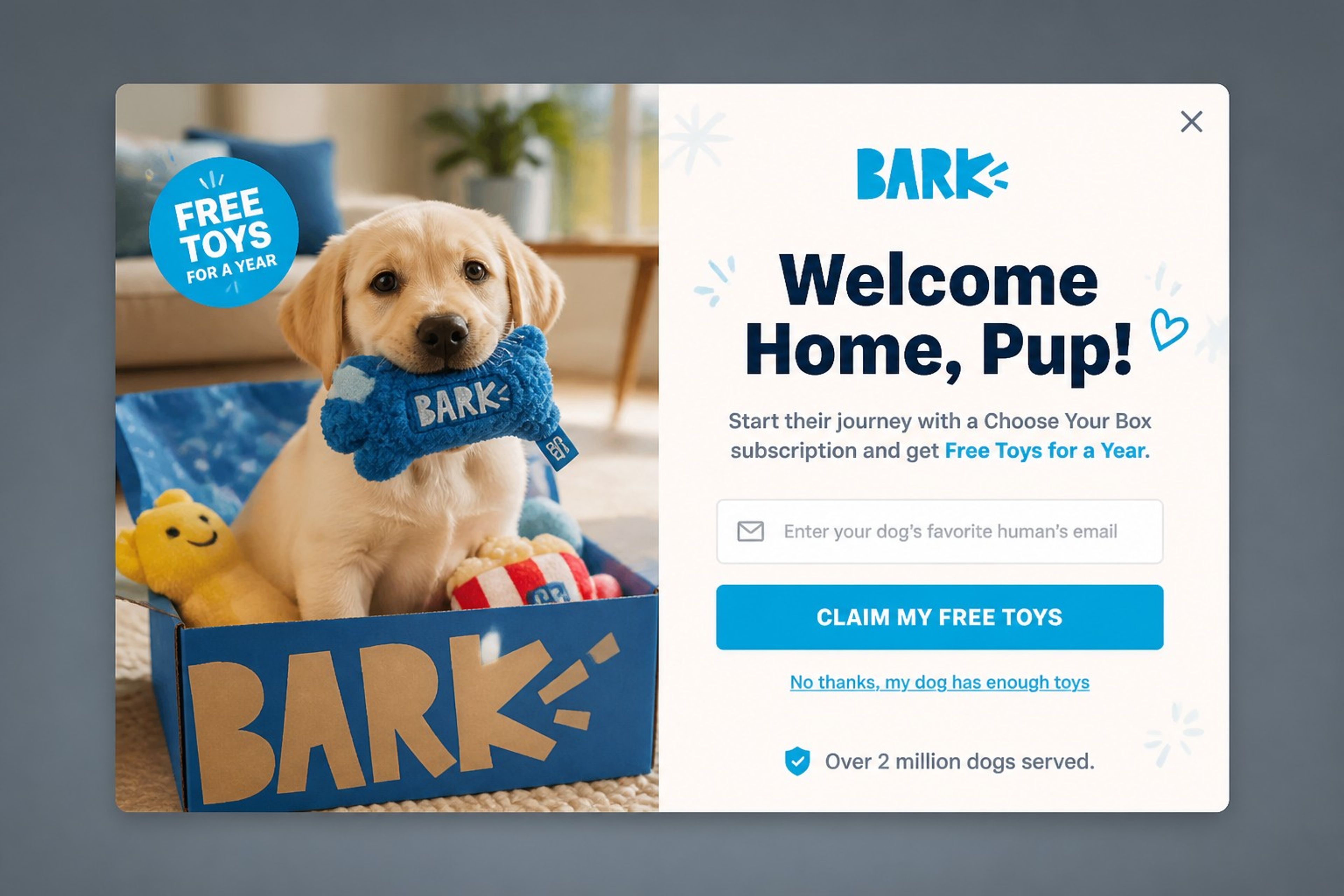Bark welcome popup with a puppy in a box and a free toys for a year offer