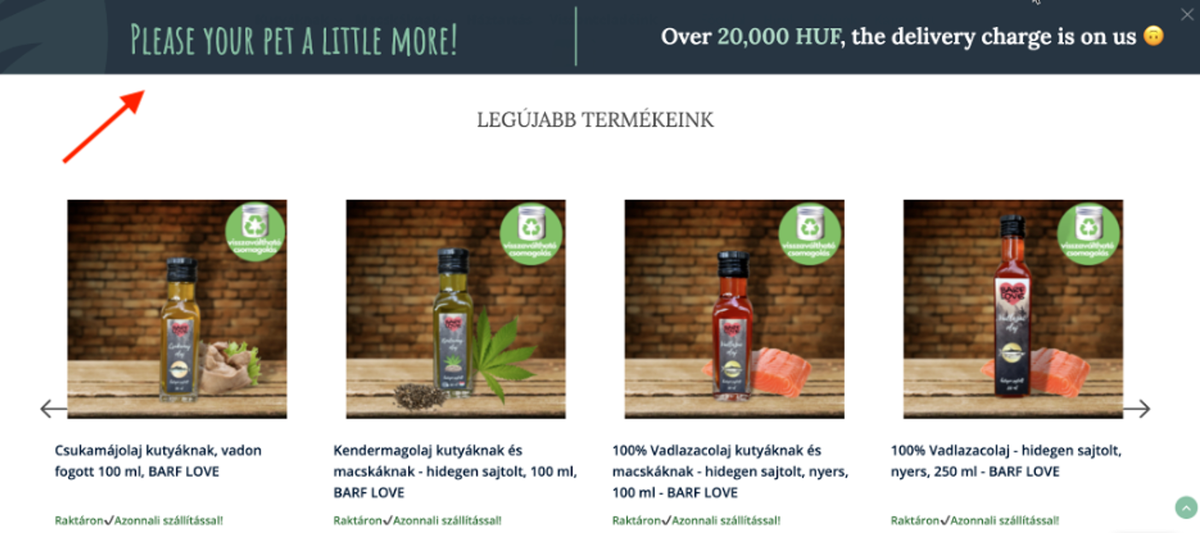 15 Website Announcement Bar Examples for Ecommerce Stores