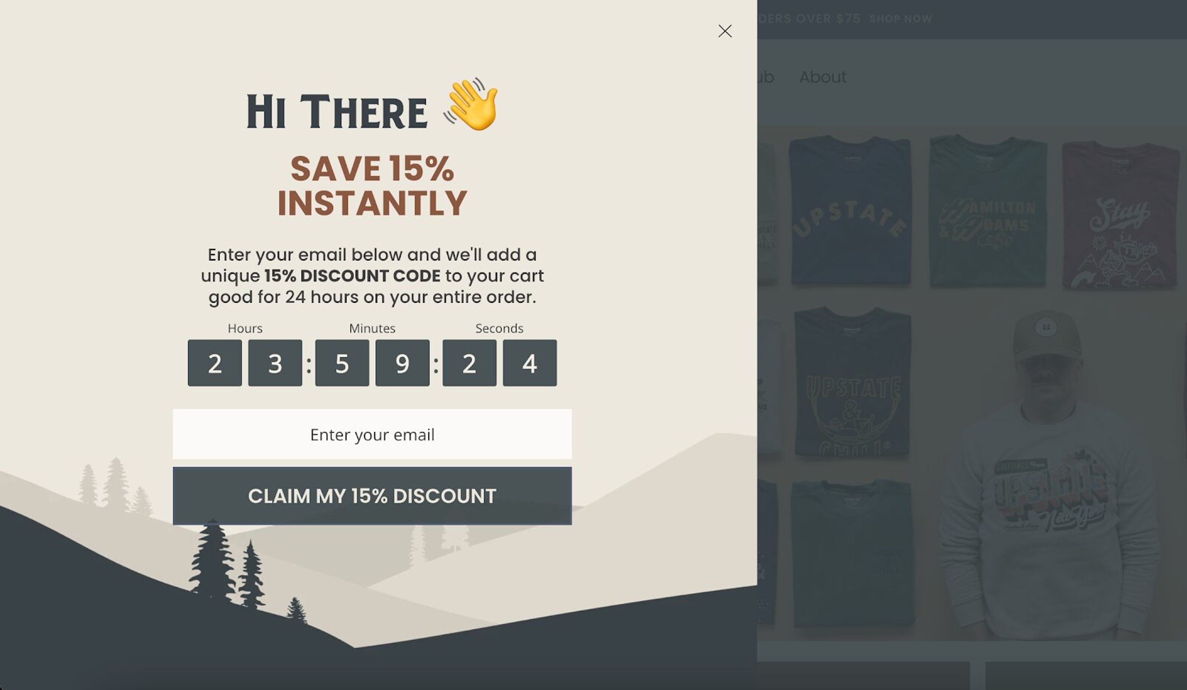Hamilton &amp; Adams' countdown timer form creates urgency with a 24-hour offer