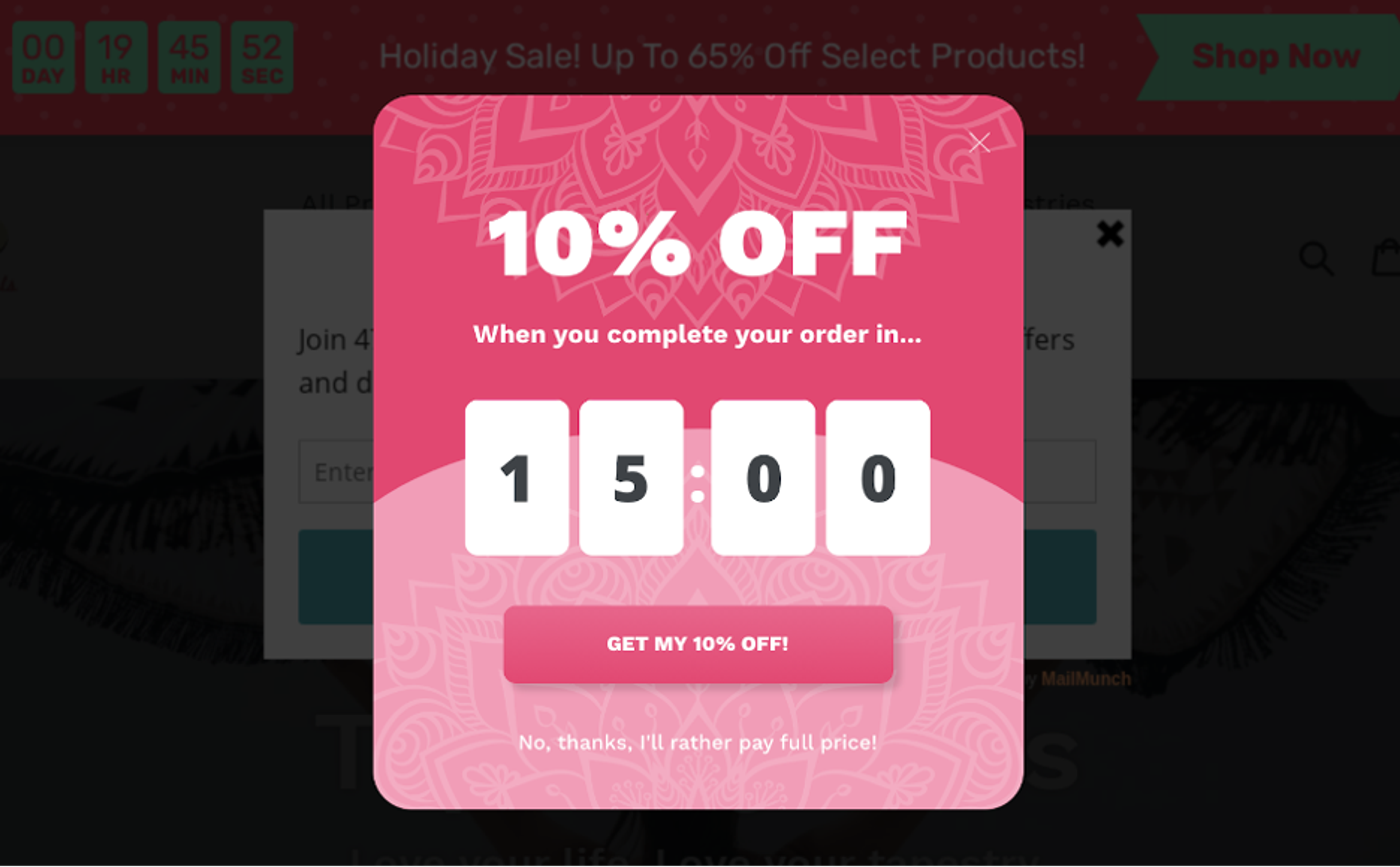 Tapestry Girls exit-intent popup example offering 10% off.