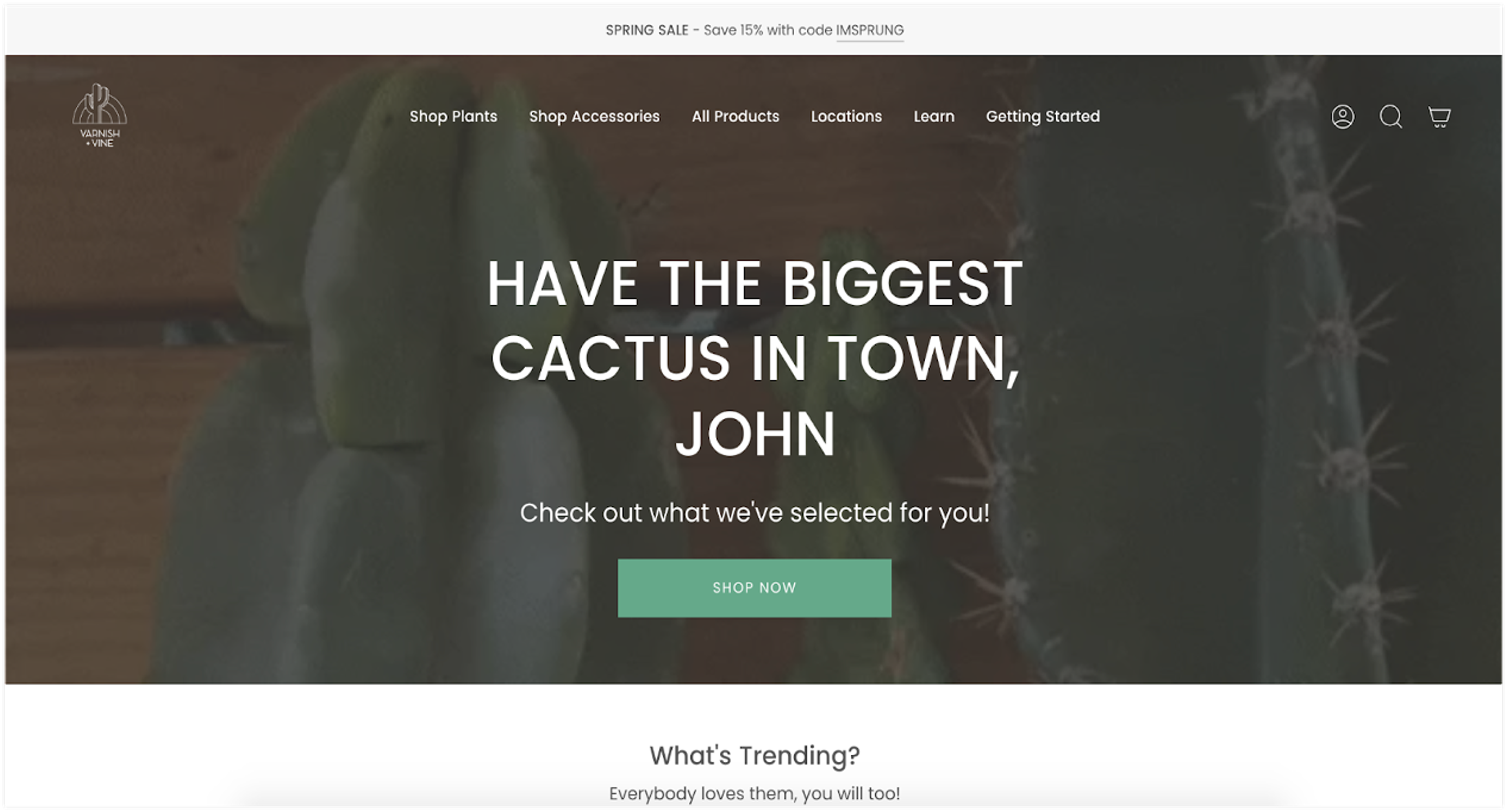 Email marketing best practices example