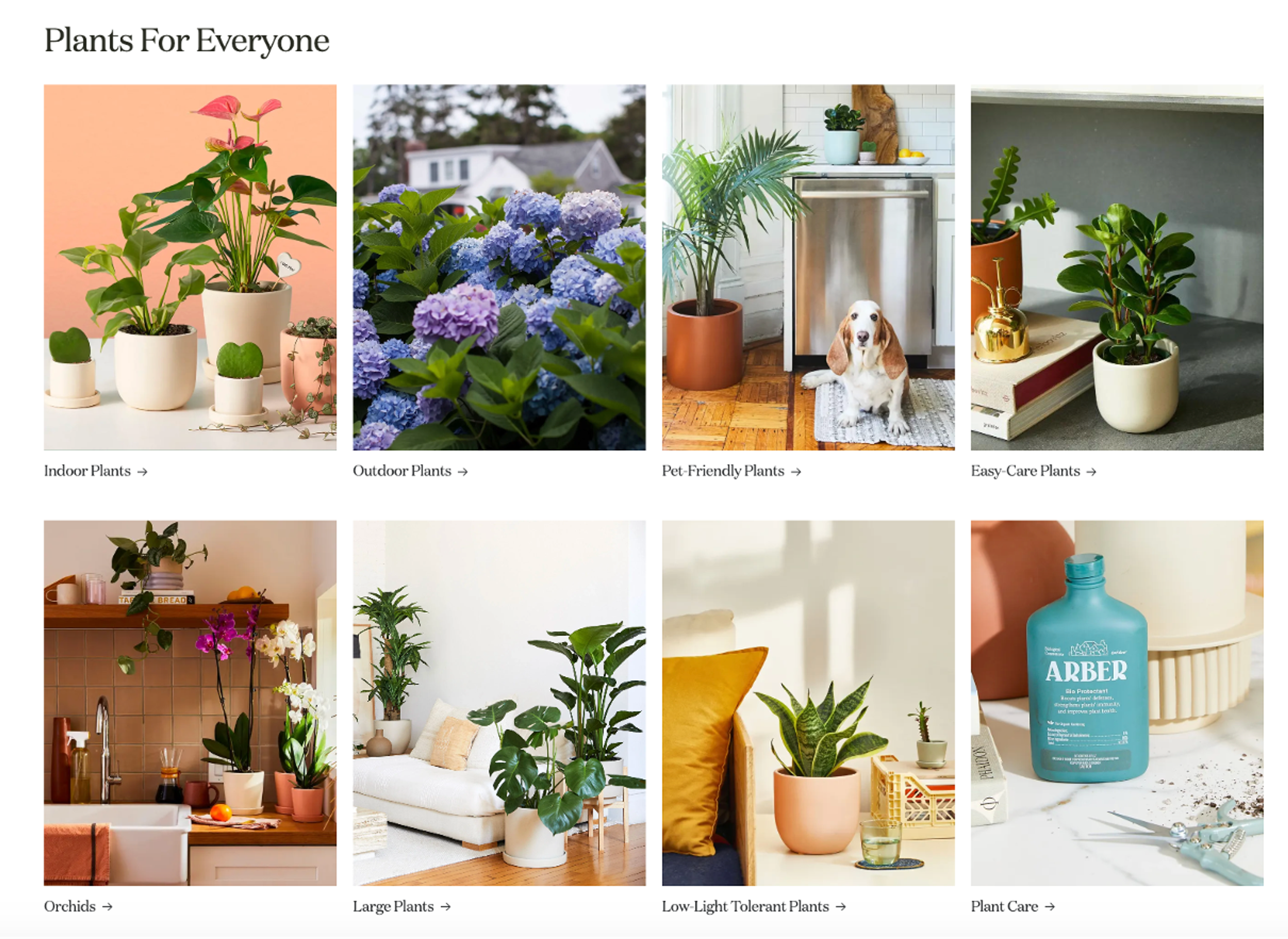 The Sill product categorization