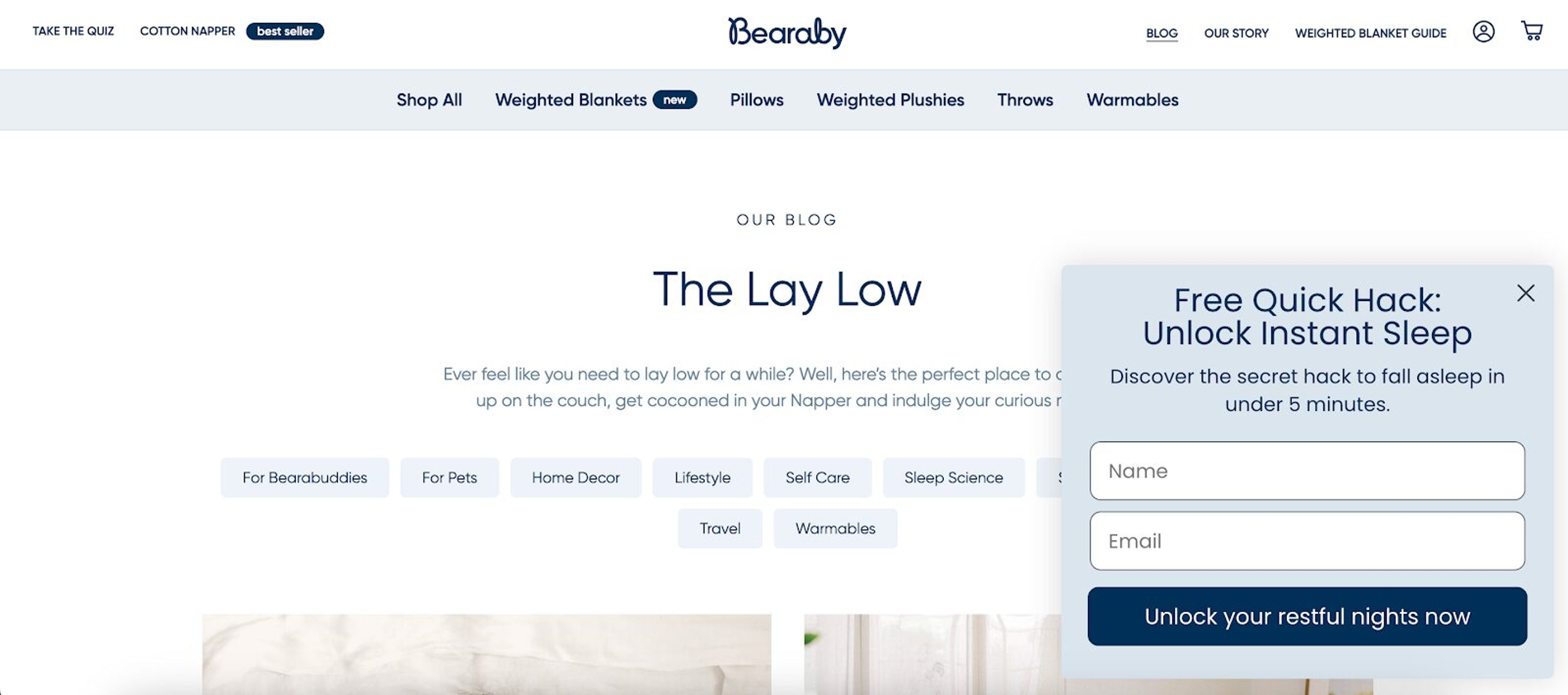 Bearaby's side message is a good example on how to monetize a blog.