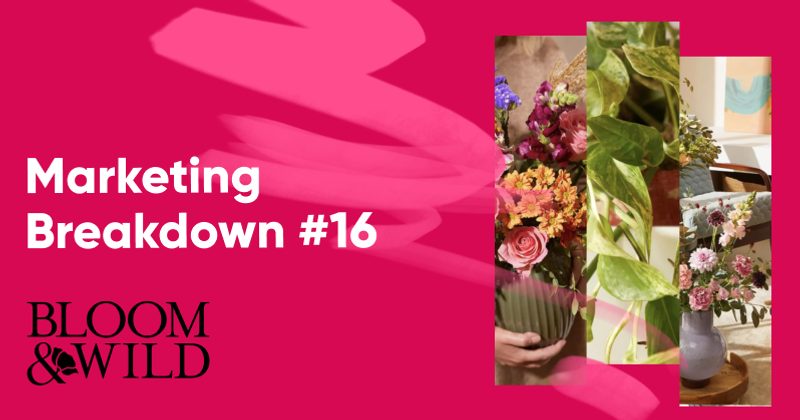 Bloom & Wild’s Marketing Strategy to Become The 2nd Fastest-Growing Startup