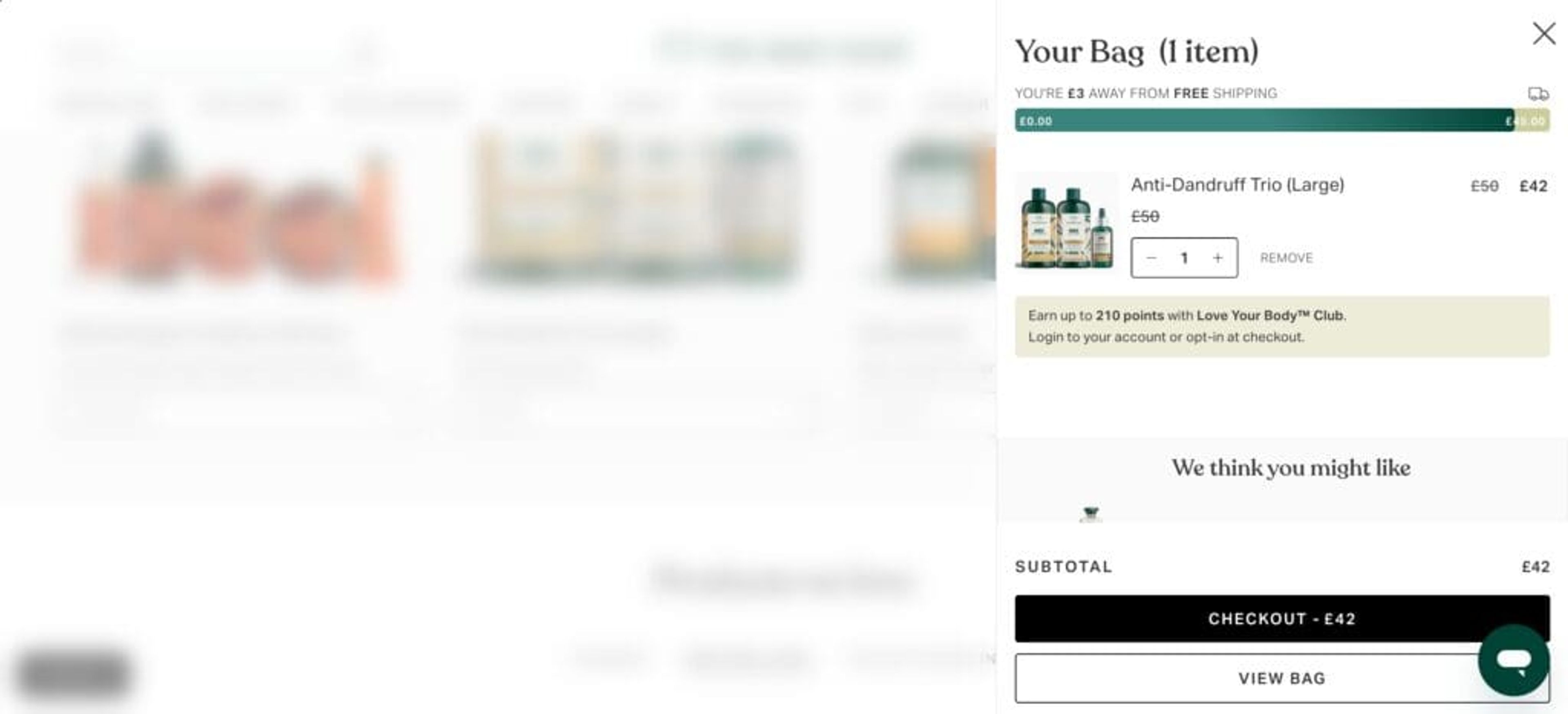 The Body Shop cart page.