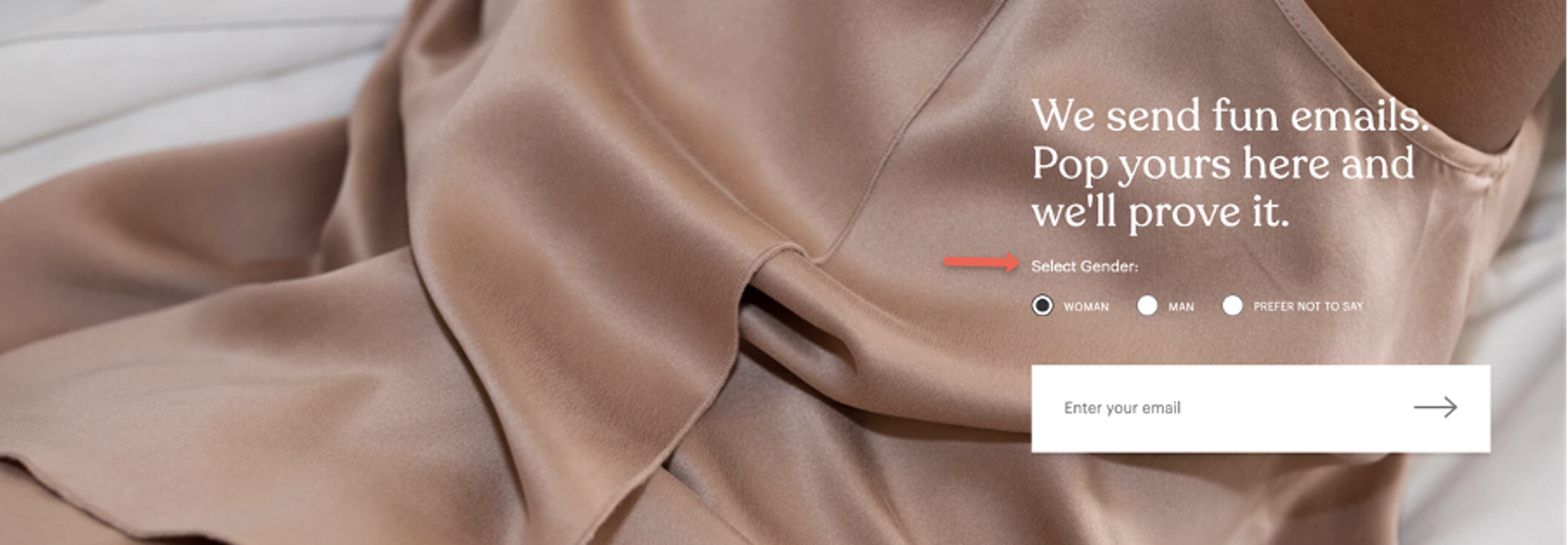 Geographic segmentation example from Lunya.