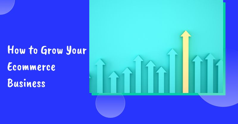 How to Grow Your Ecommerce Business in 2026: 12 Proven Strategies