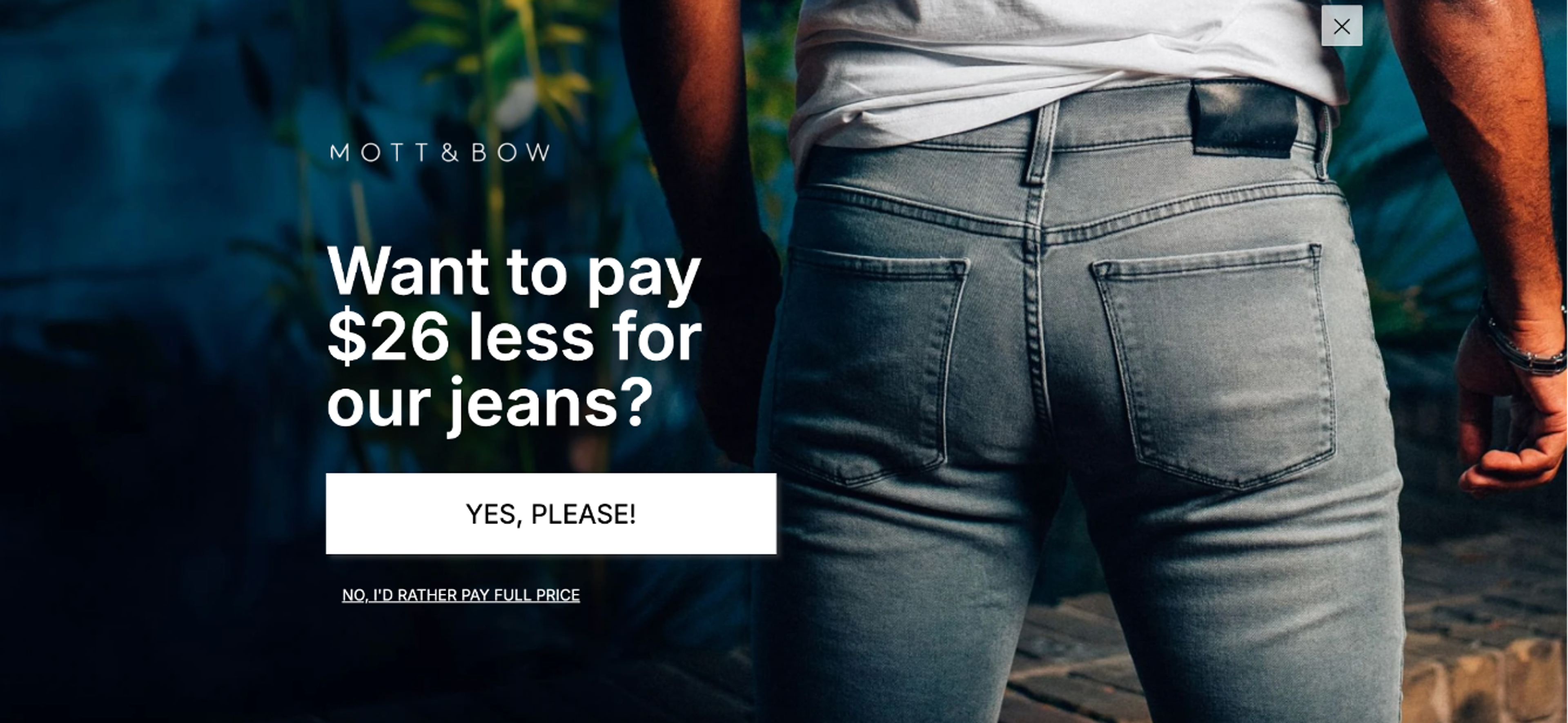 Mott &amp; Bow's Smart Discount popup.