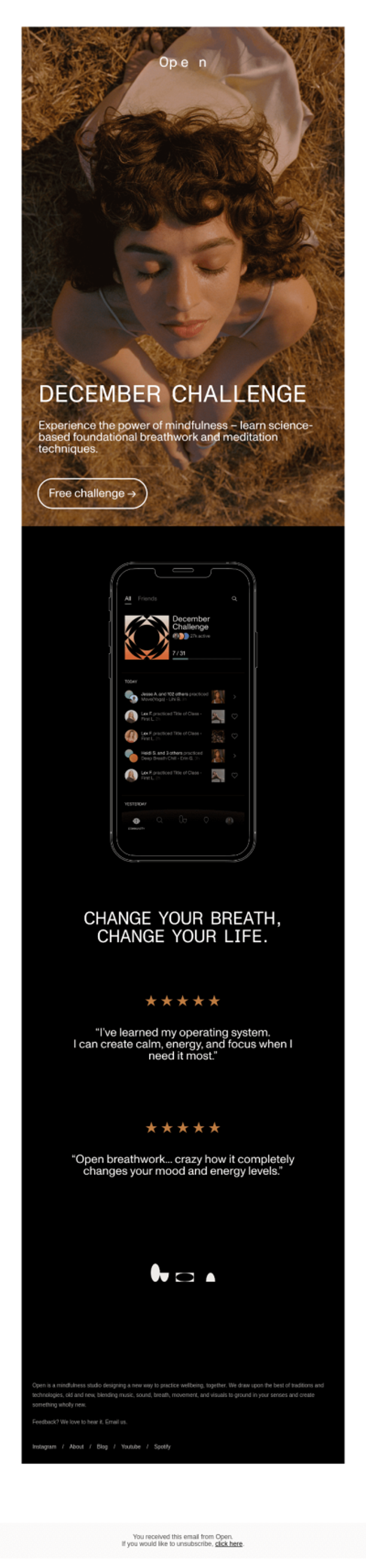 Promote your challenges in your newsletter