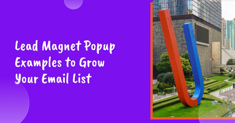 8 Lead Magnet Popup Examples to Grow Your Email List